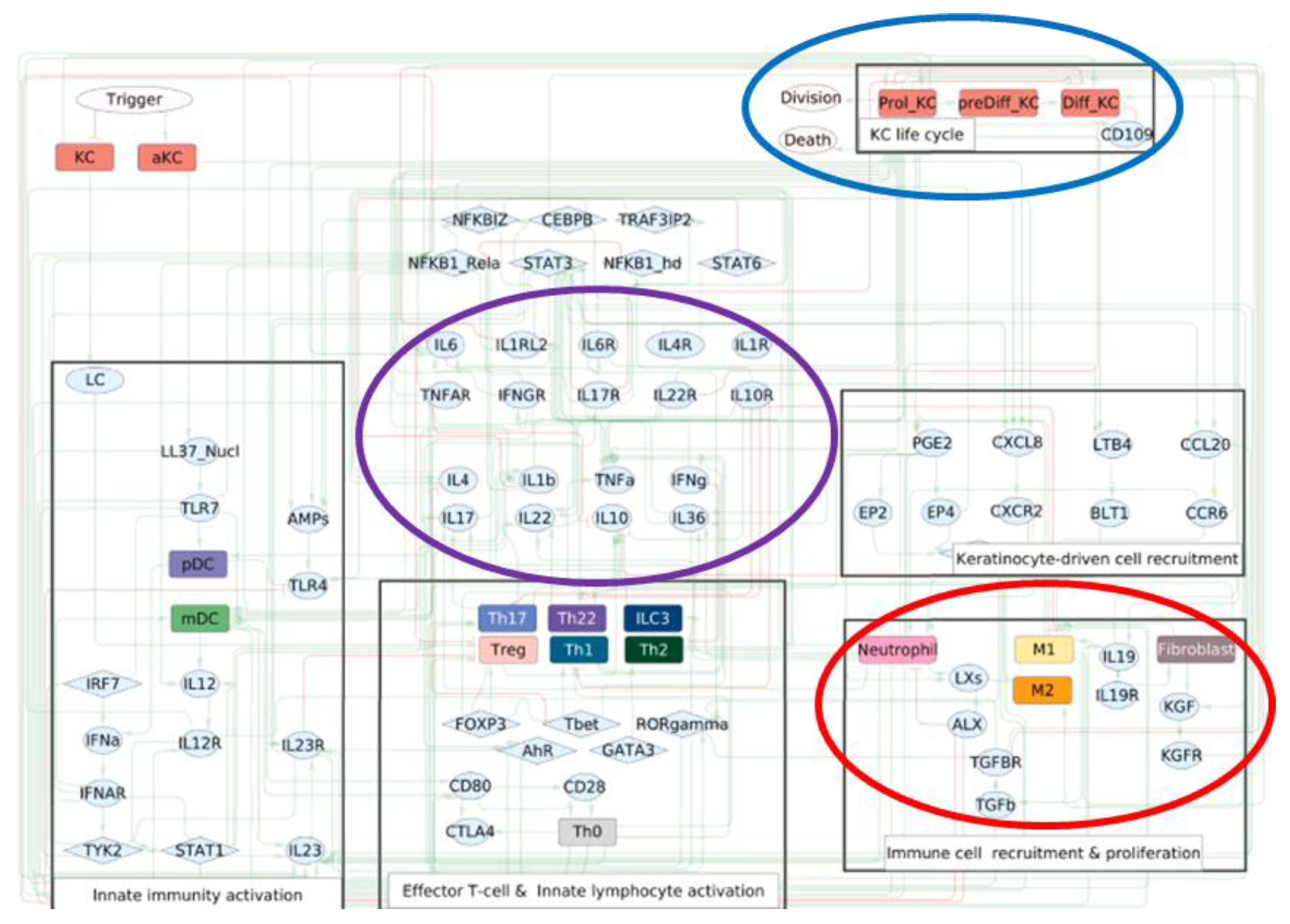 Cells 14 01382 g0a1 Cells 14 01382 g0a1