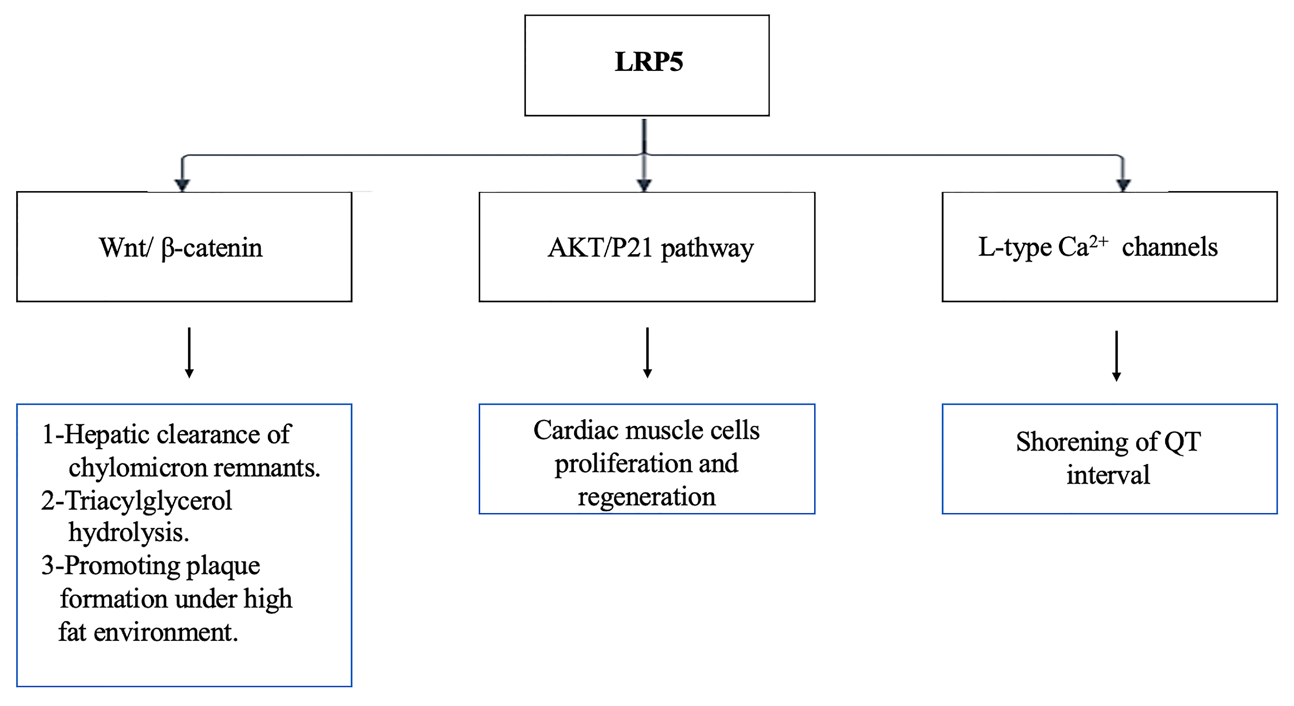 Cells 14 01391 g003 Cells 14 01391 g003