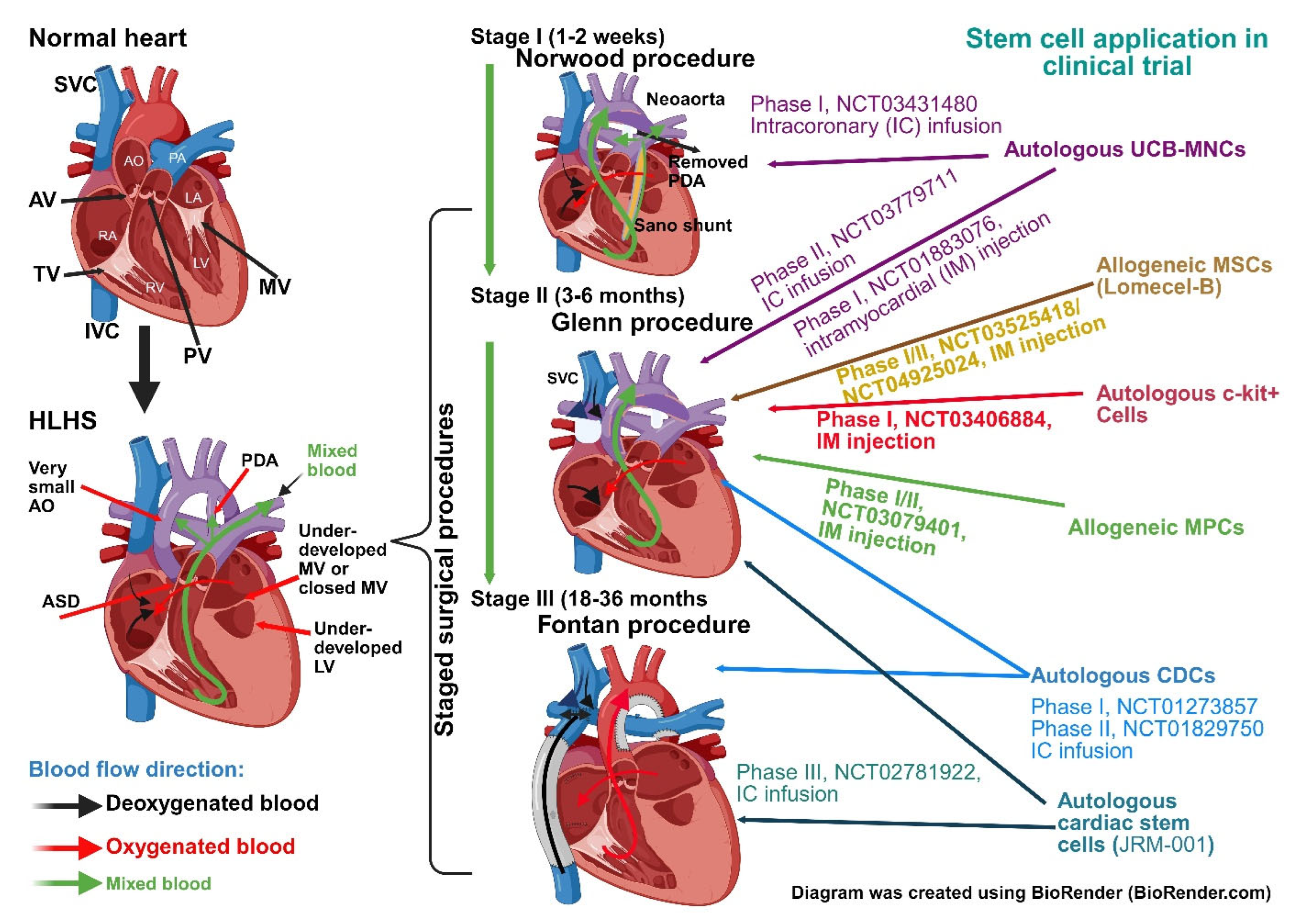 Cells 14 01396 g001 Cells 14 01396 g001