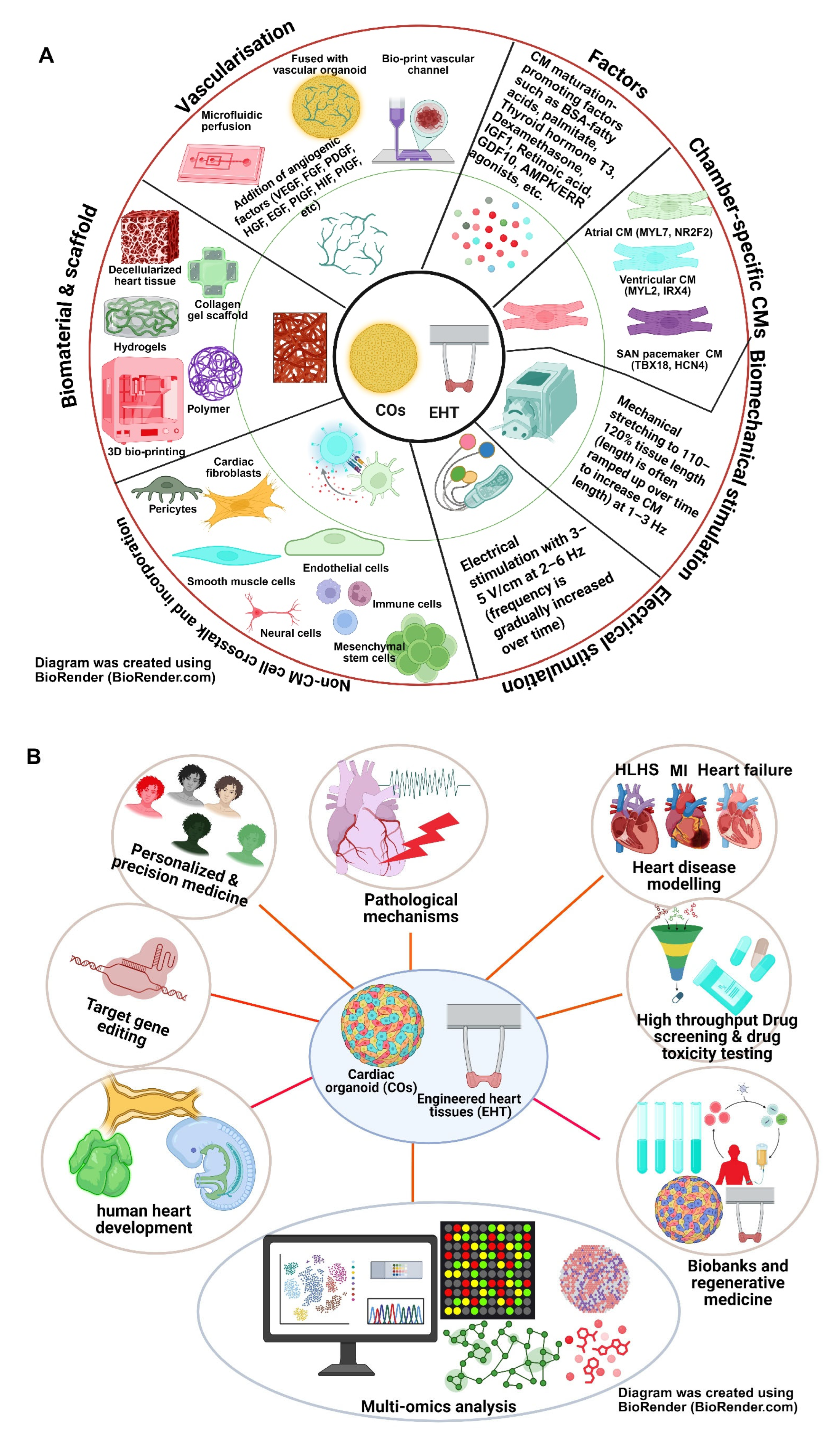 Cells 14 01396 g004 Cells 14 01396 g004