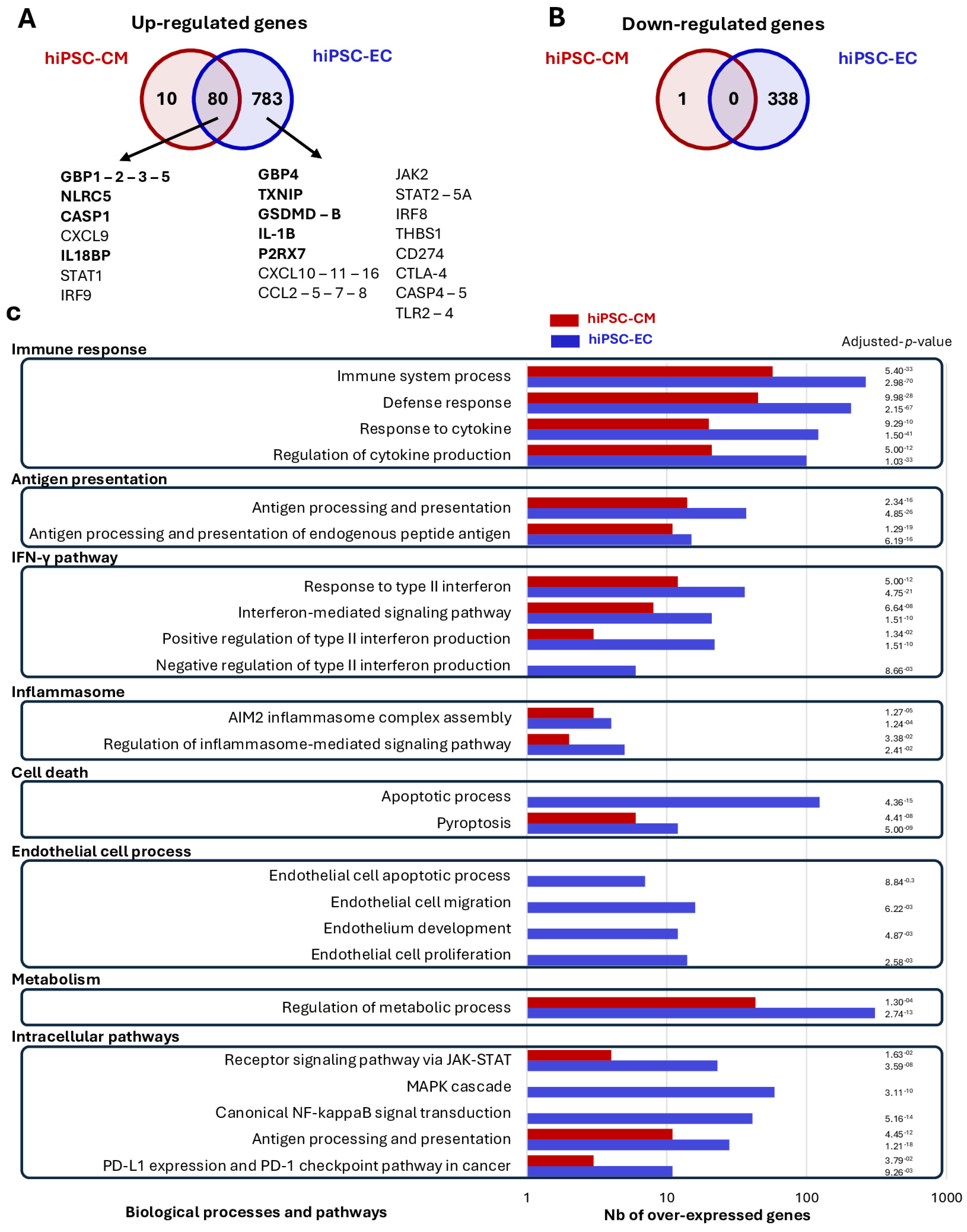 Cells 14 01397 g002 Cells 14 01397 g002