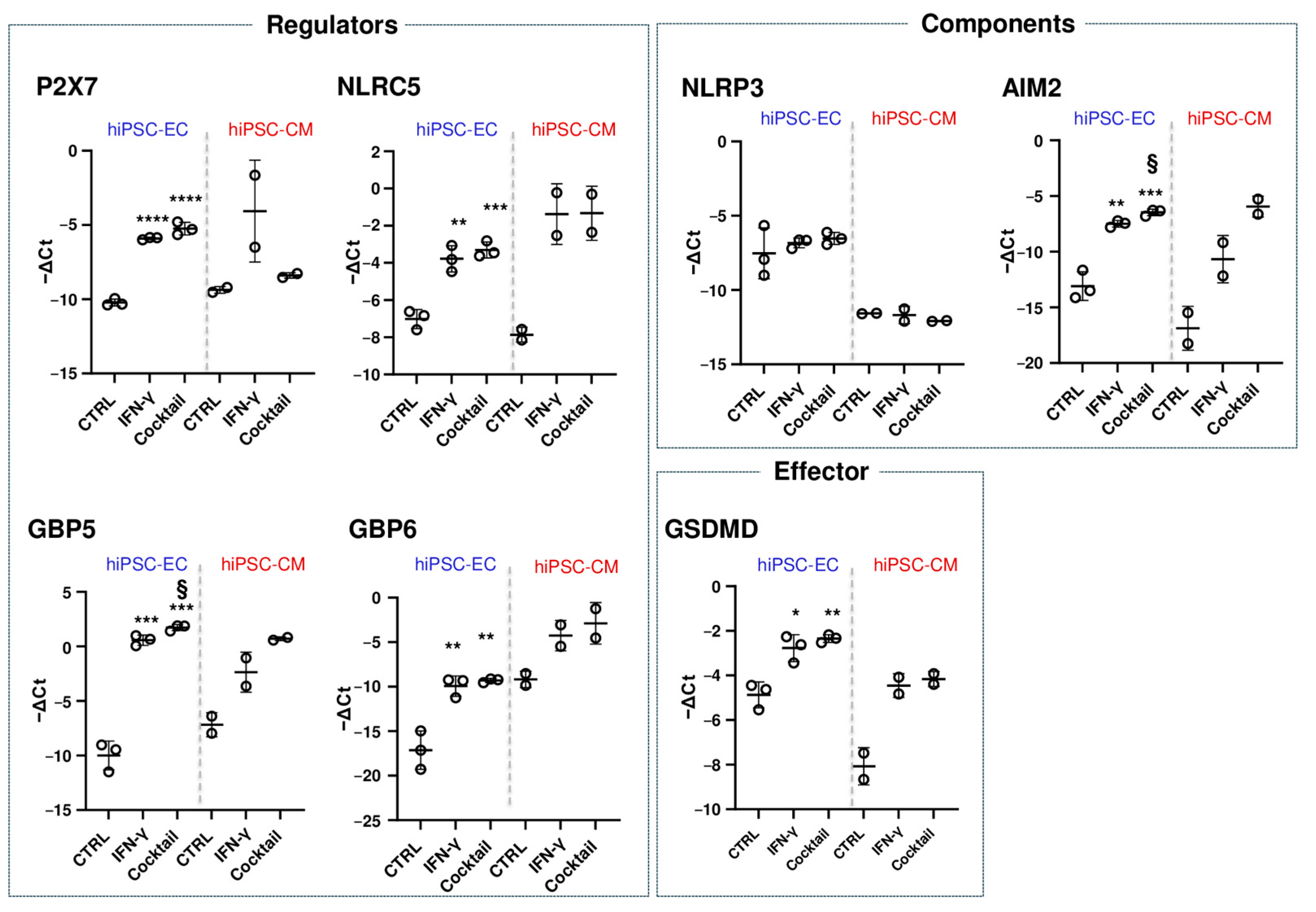Cells 14 01397 g005 Cells 14 01397 g005