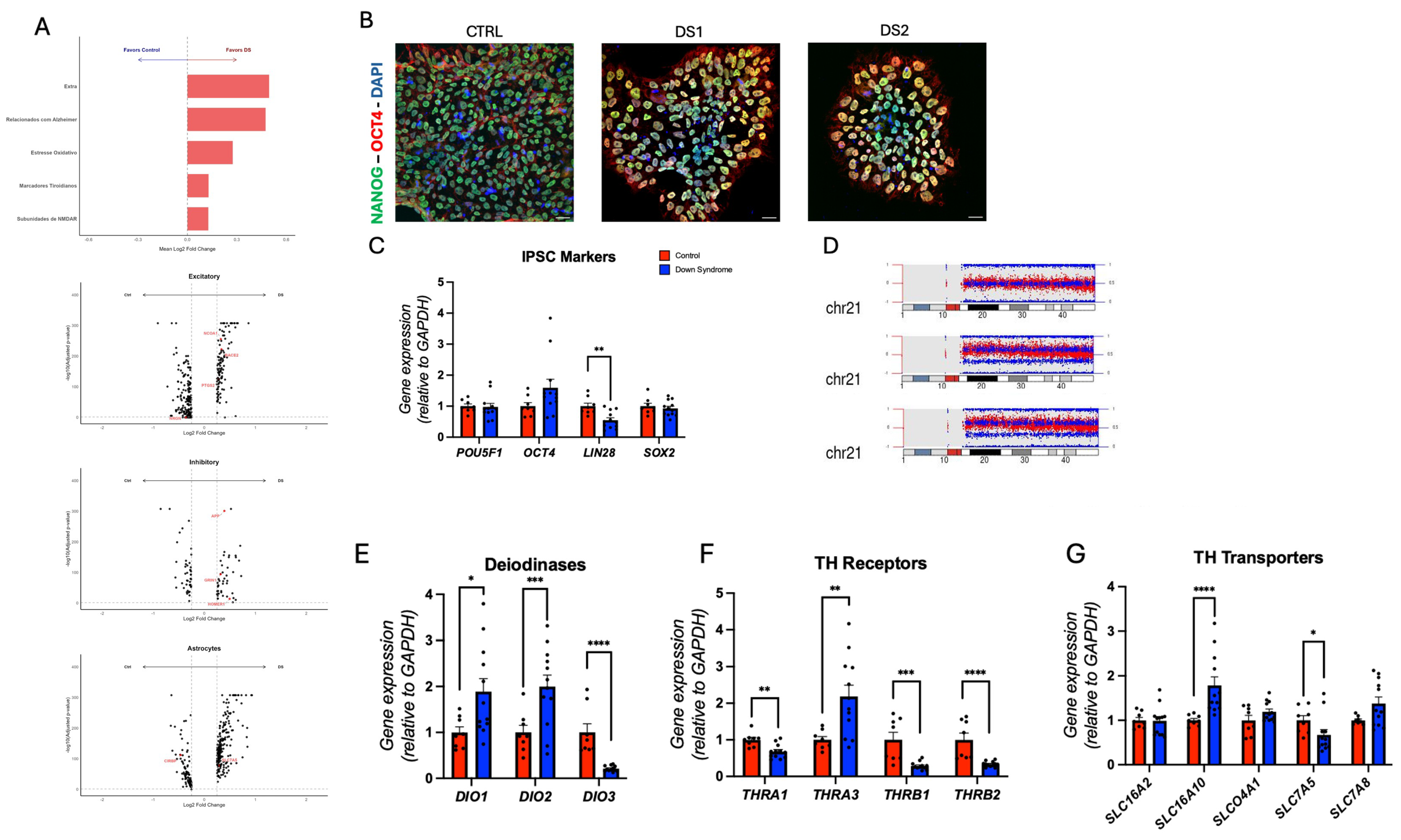 Cells 14 01407 g001 Cells 14 01407 g001