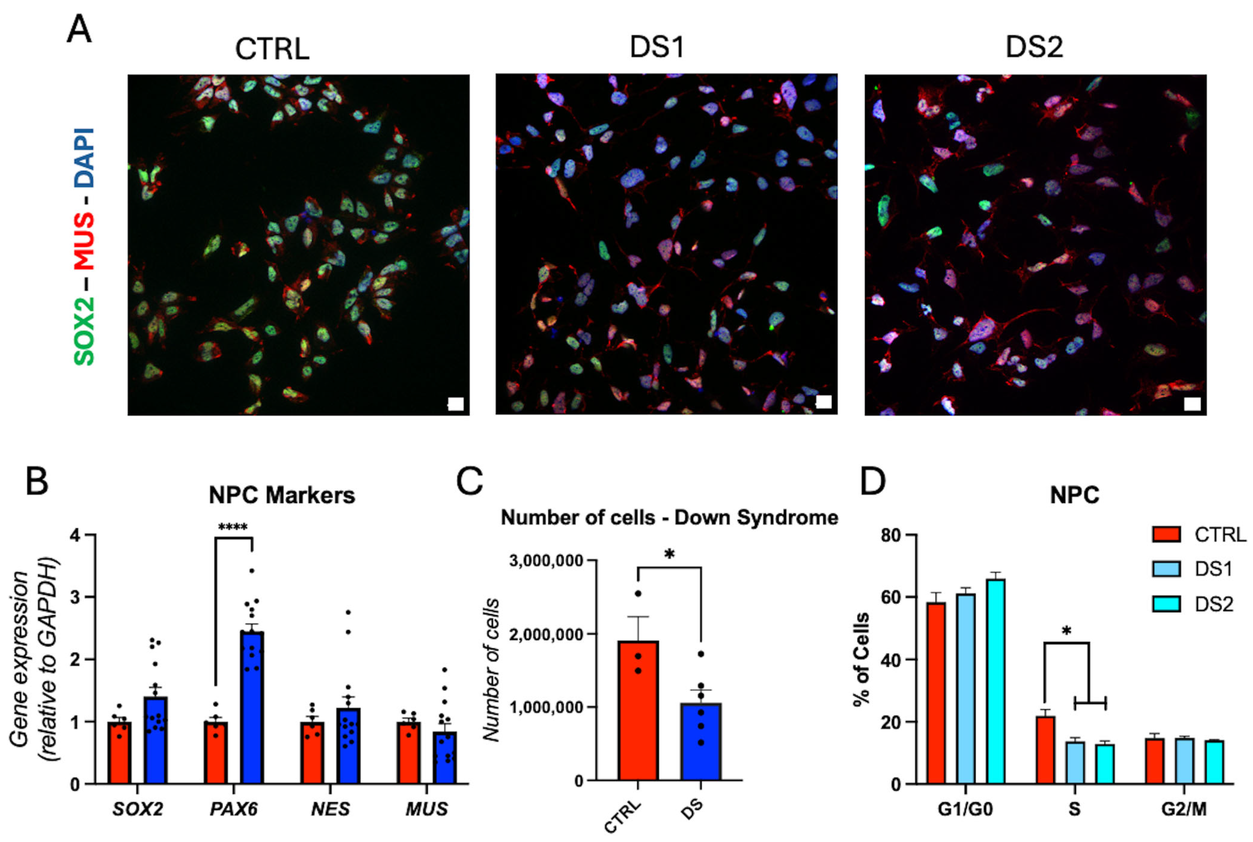 Cells 14 01407 g002 Cells 14 01407 g002