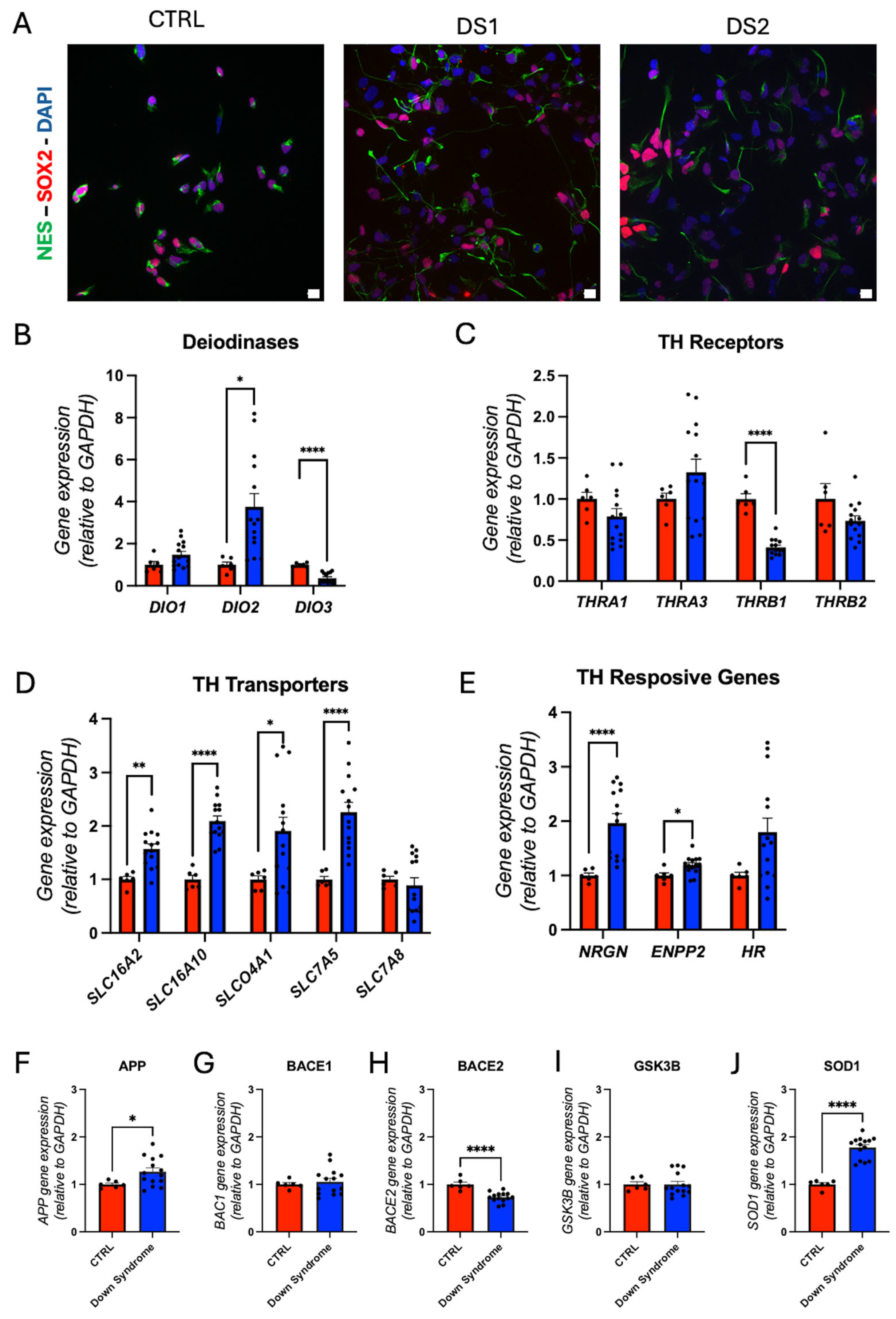 Cells 14 01407 g003 Cells 14 01407 g003