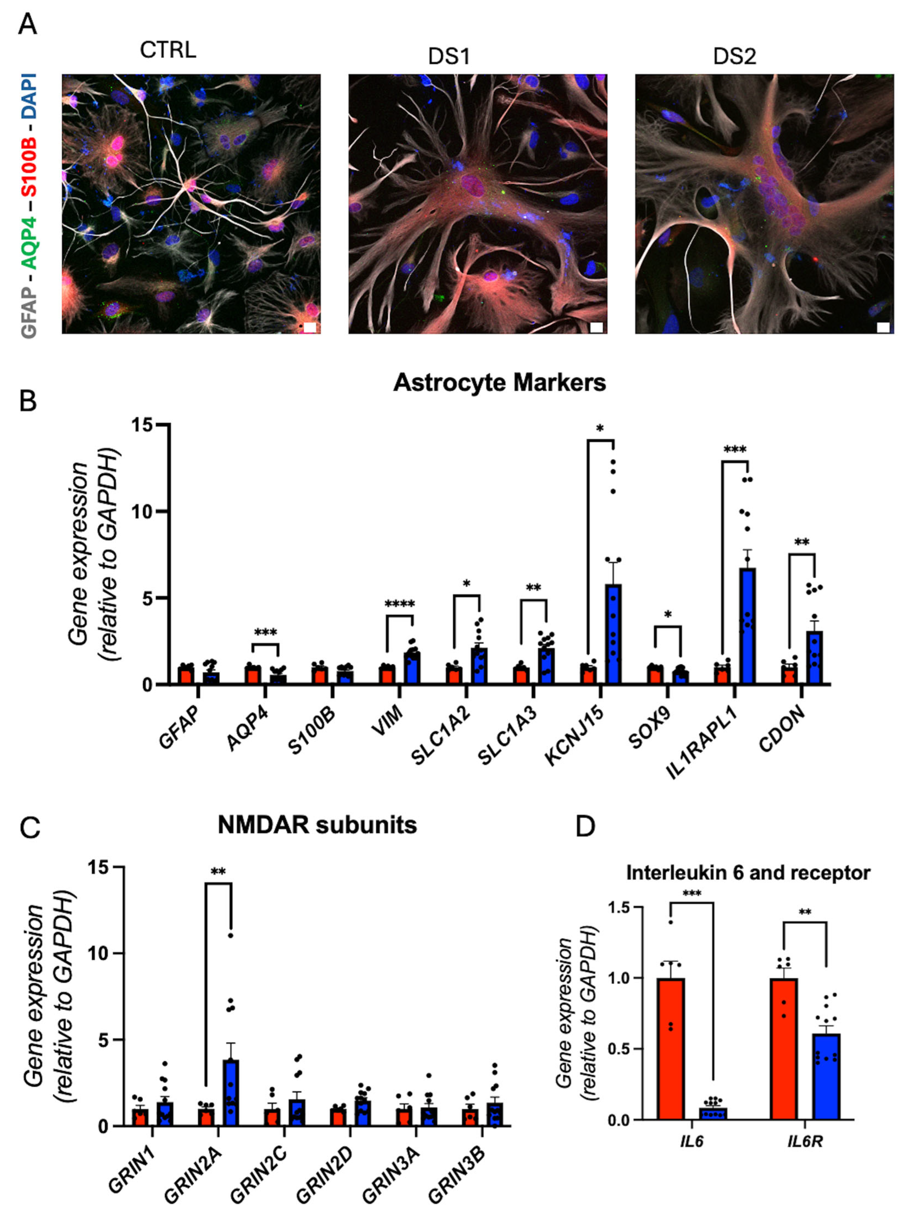 Cells 14 01407 g004 Cells 14 01407 g004