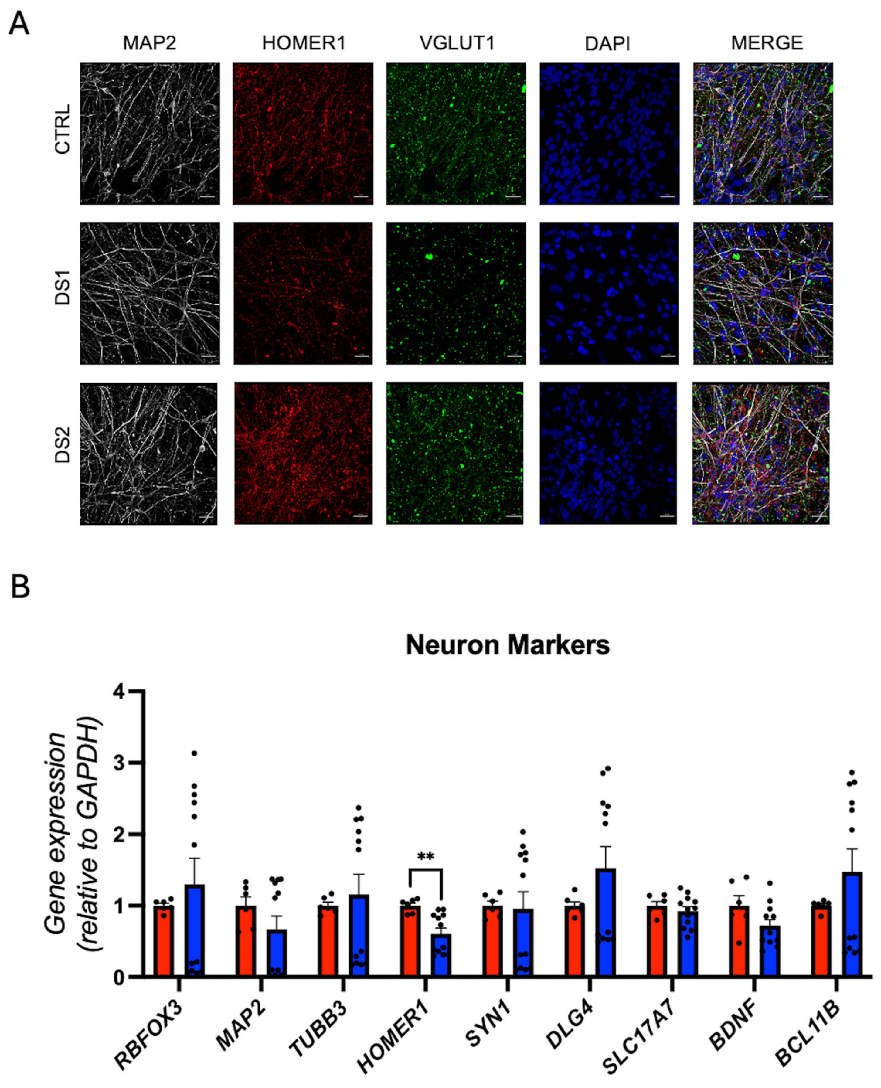 Cells 14 01407 g006 Cells 14 01407 g006