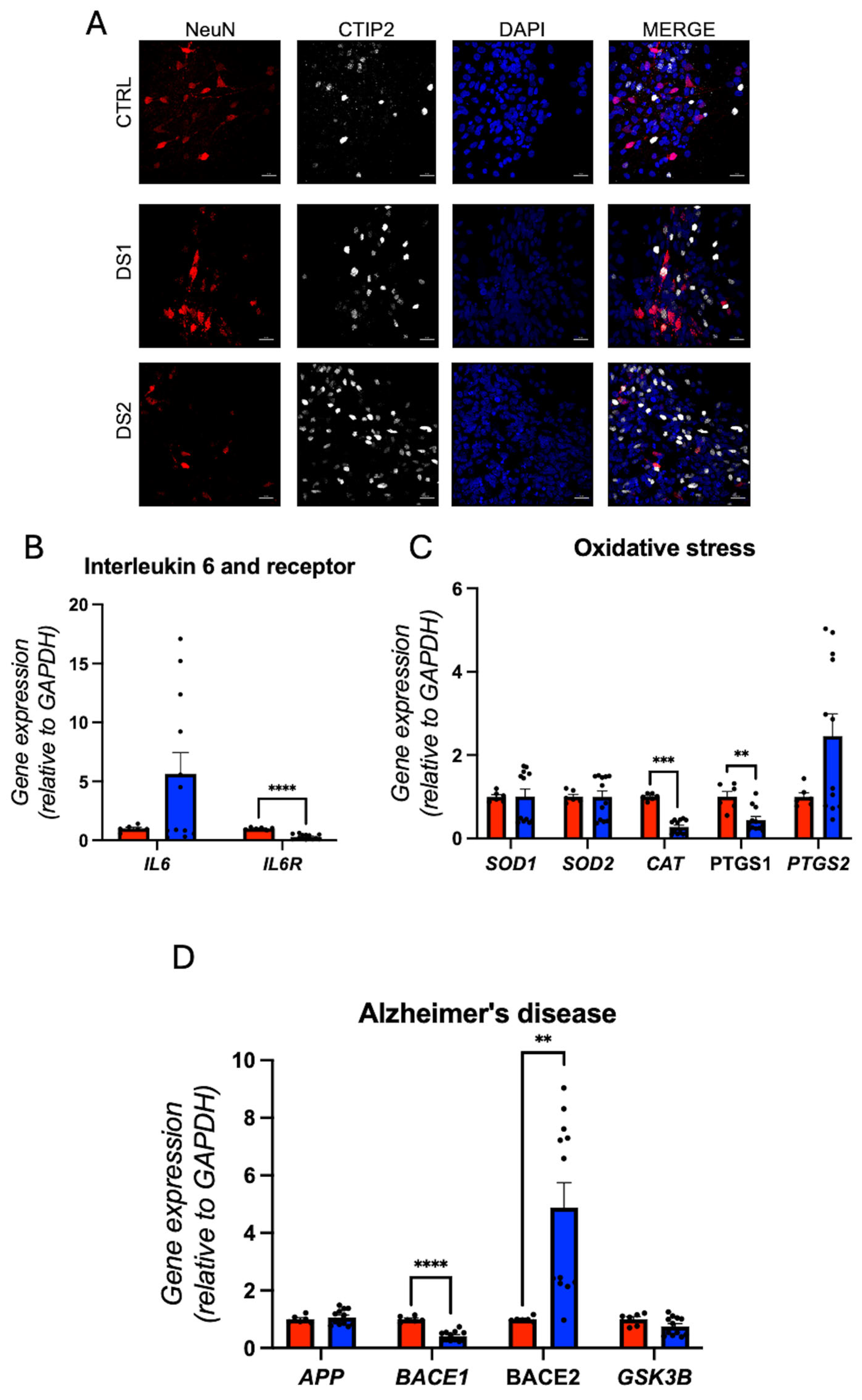 Cells 14 01407 g008 Cells 14 01407 g008