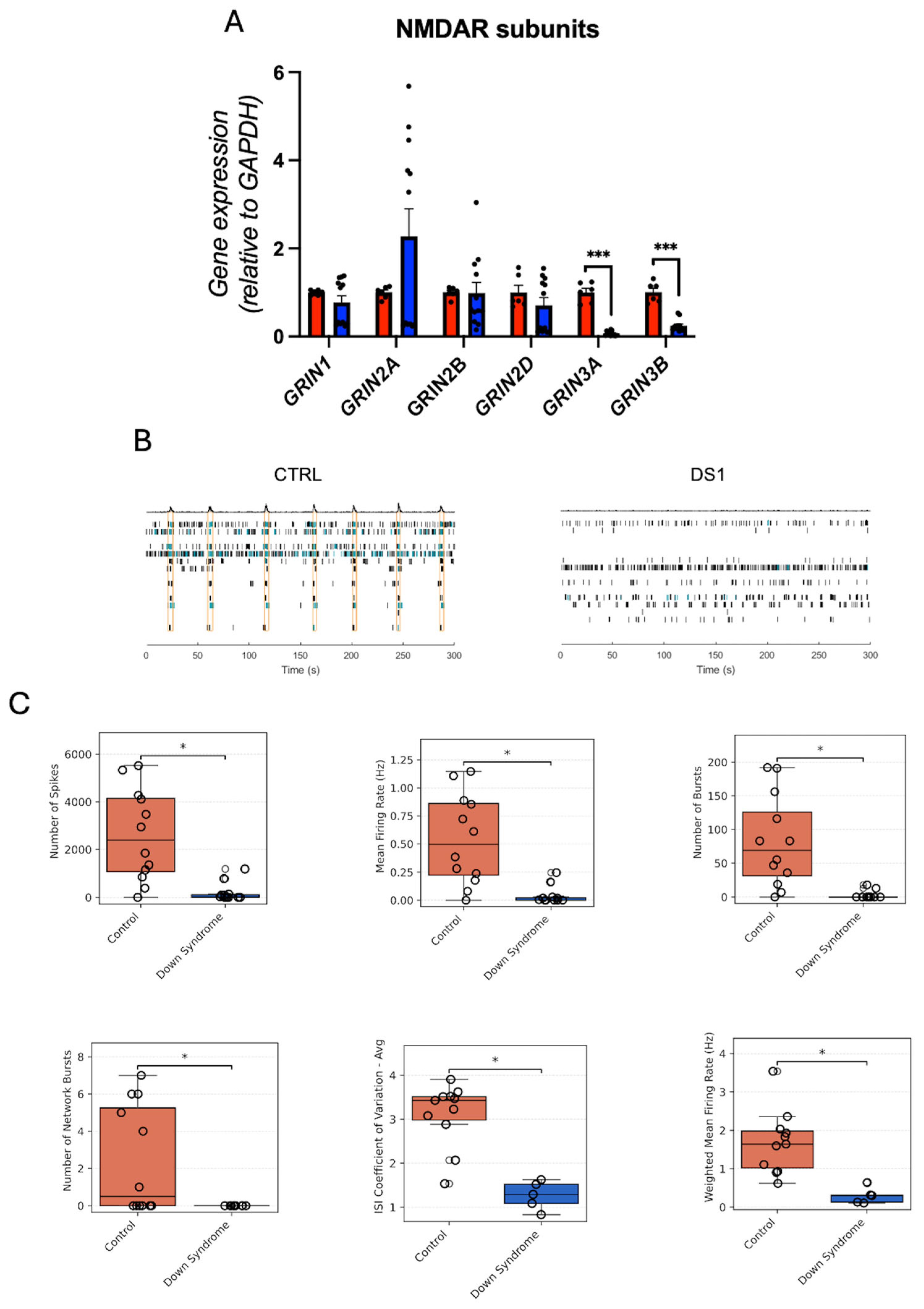 Cells 14 01407 g009 Cells 14 01407 g009