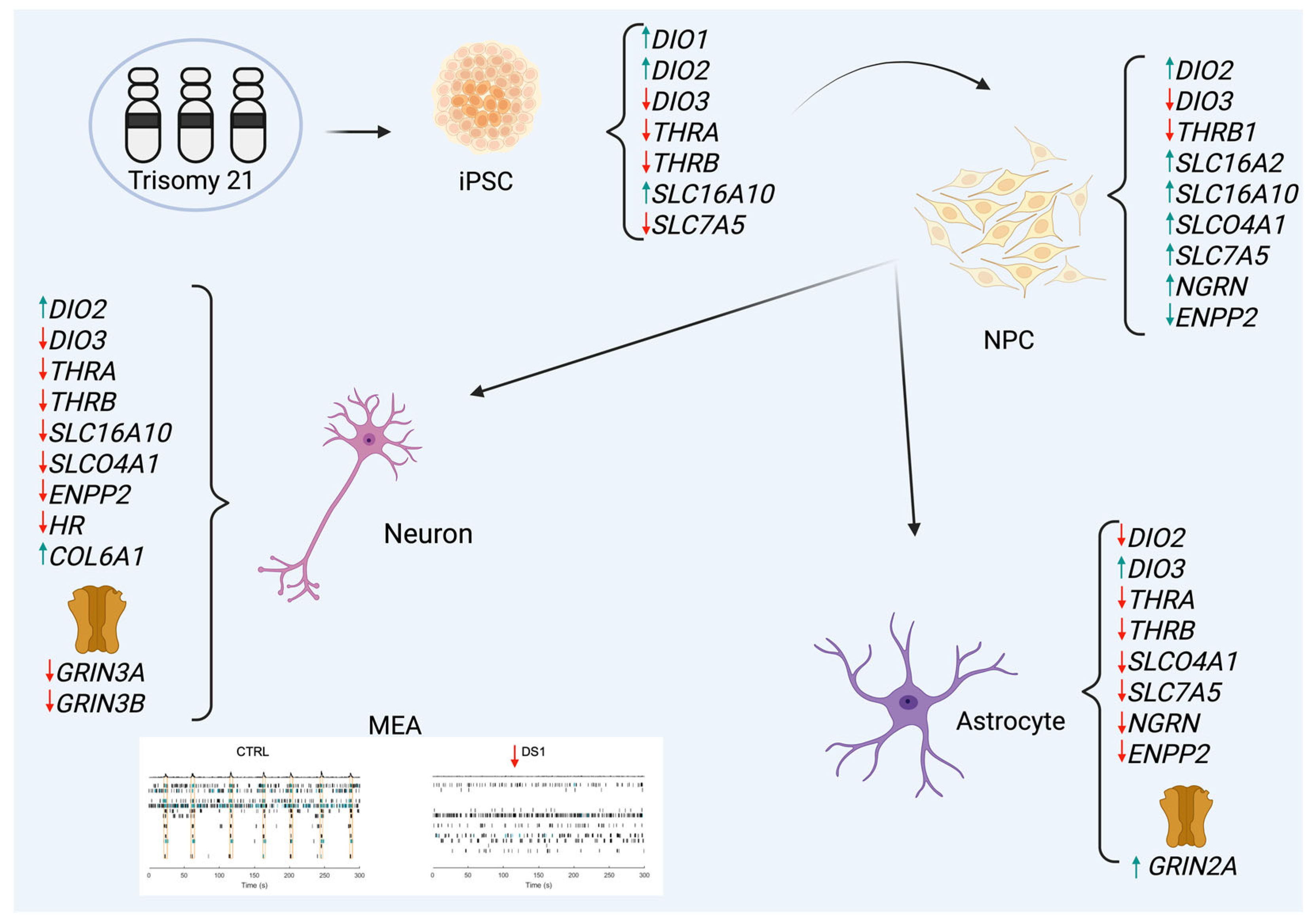 Cells 14 01407 g010 Cells 14 01407 g010