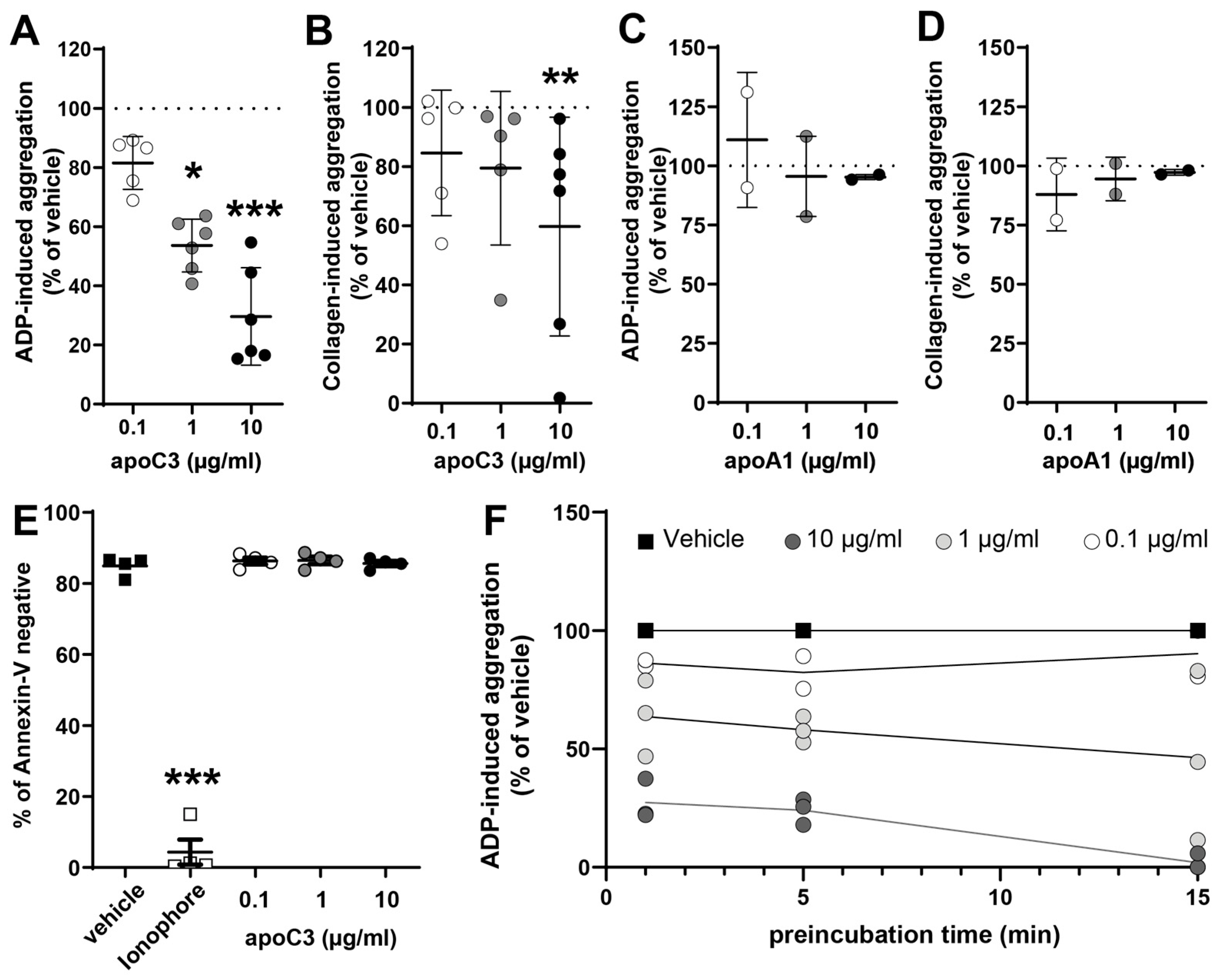 Cells 14 01411 g001 Cells 14 01411 g001