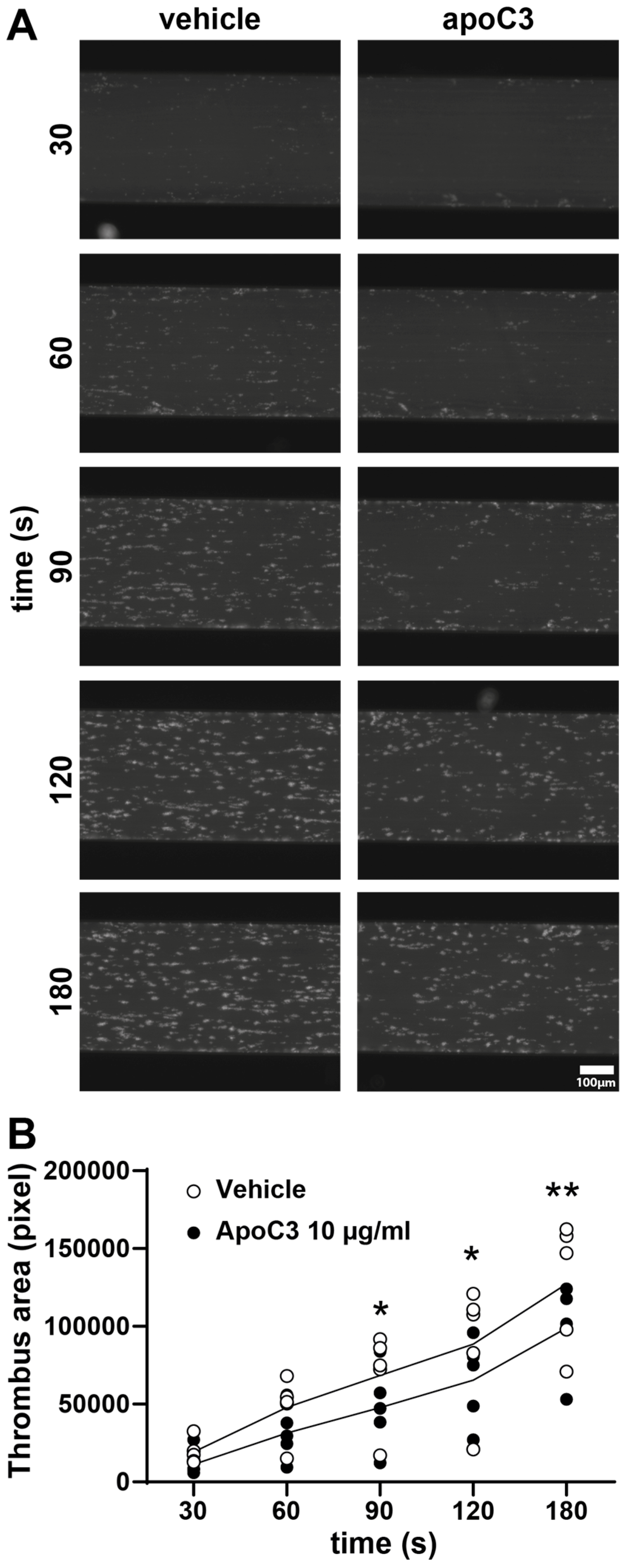 Cells 14 01411 g004 Cells 14 01411 g004