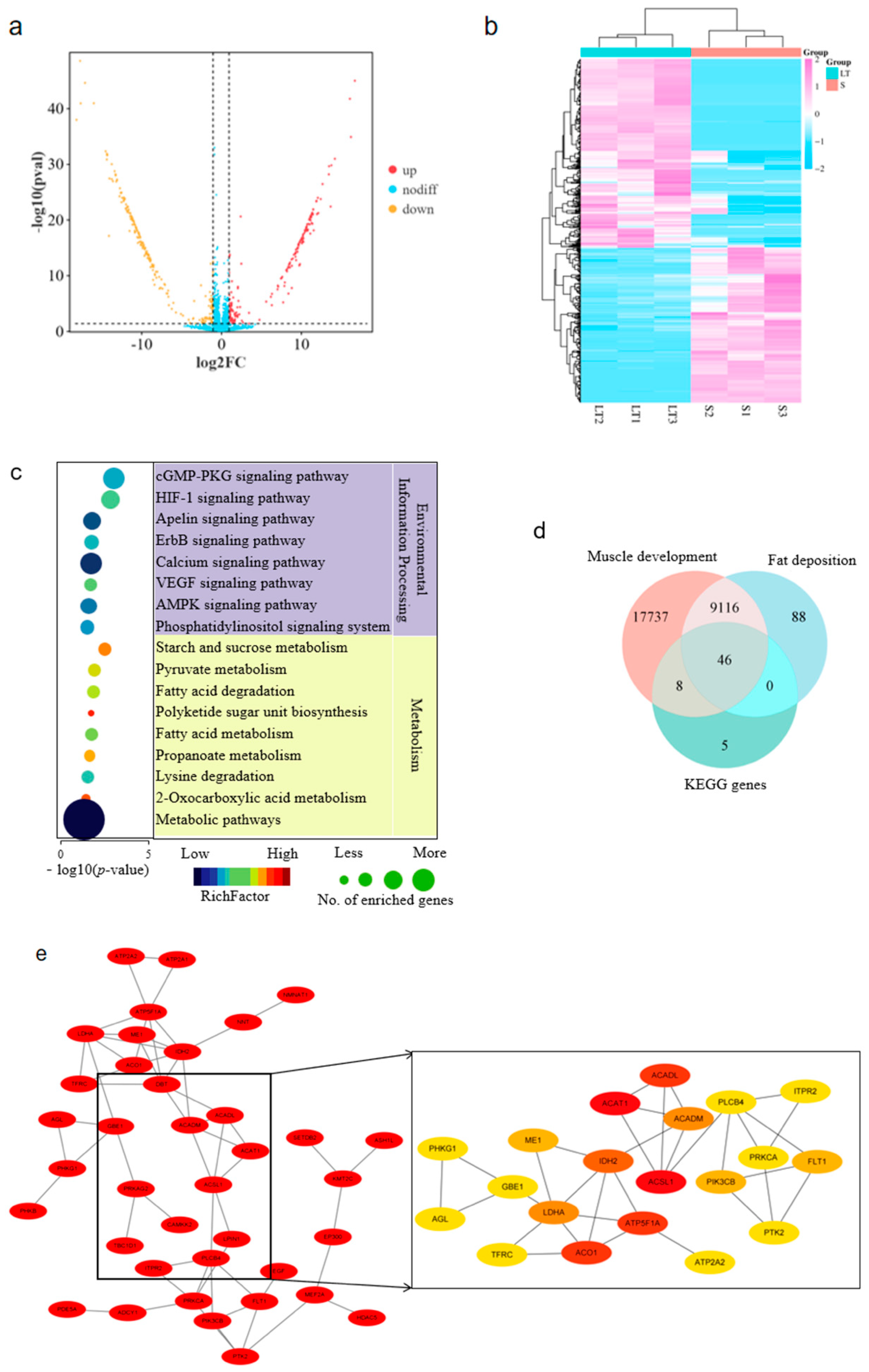 Cells 14 01416 g001 Cells 14 01416 g001