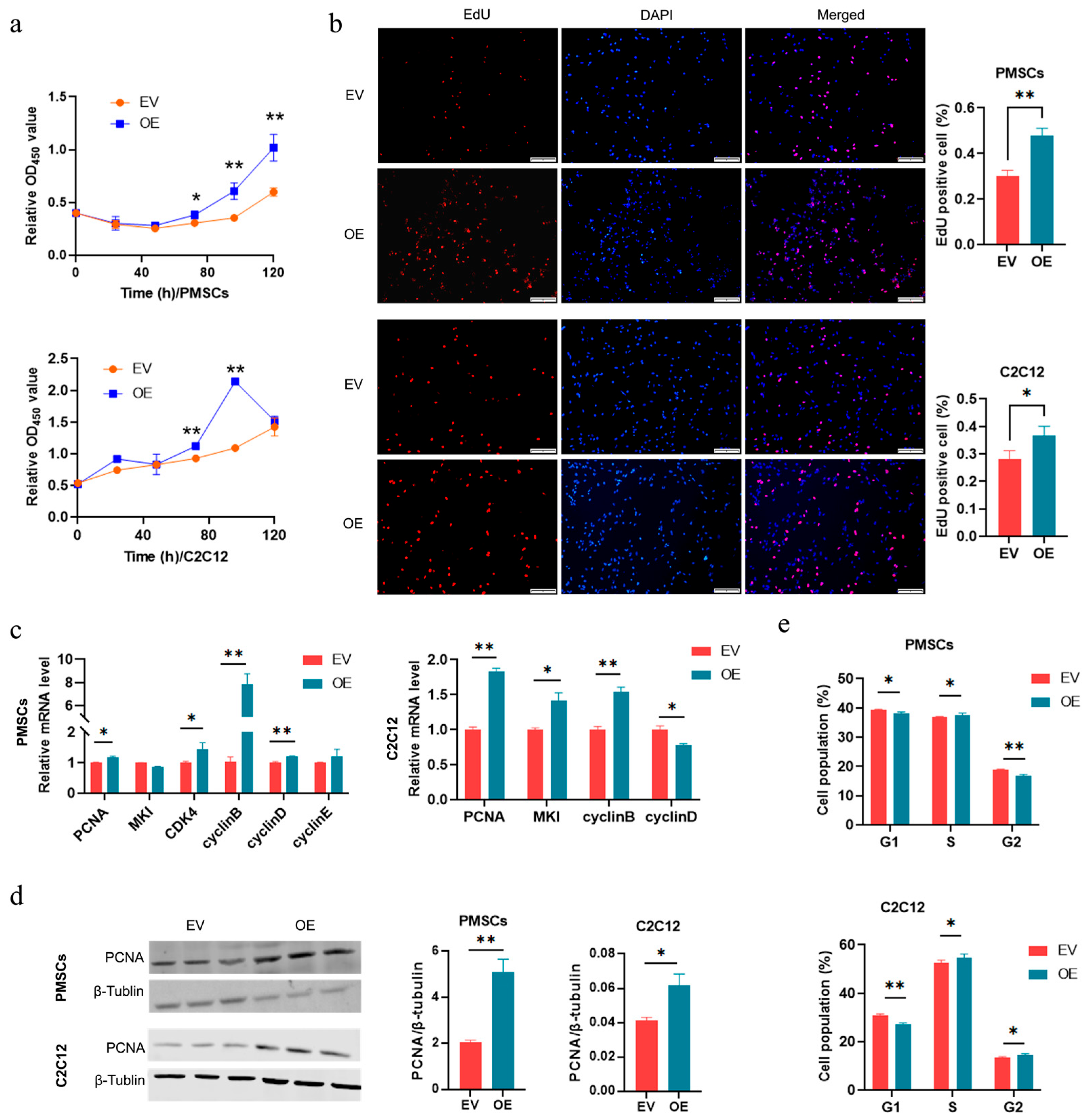 Cells 14 01416 g003 Cells 14 01416 g003