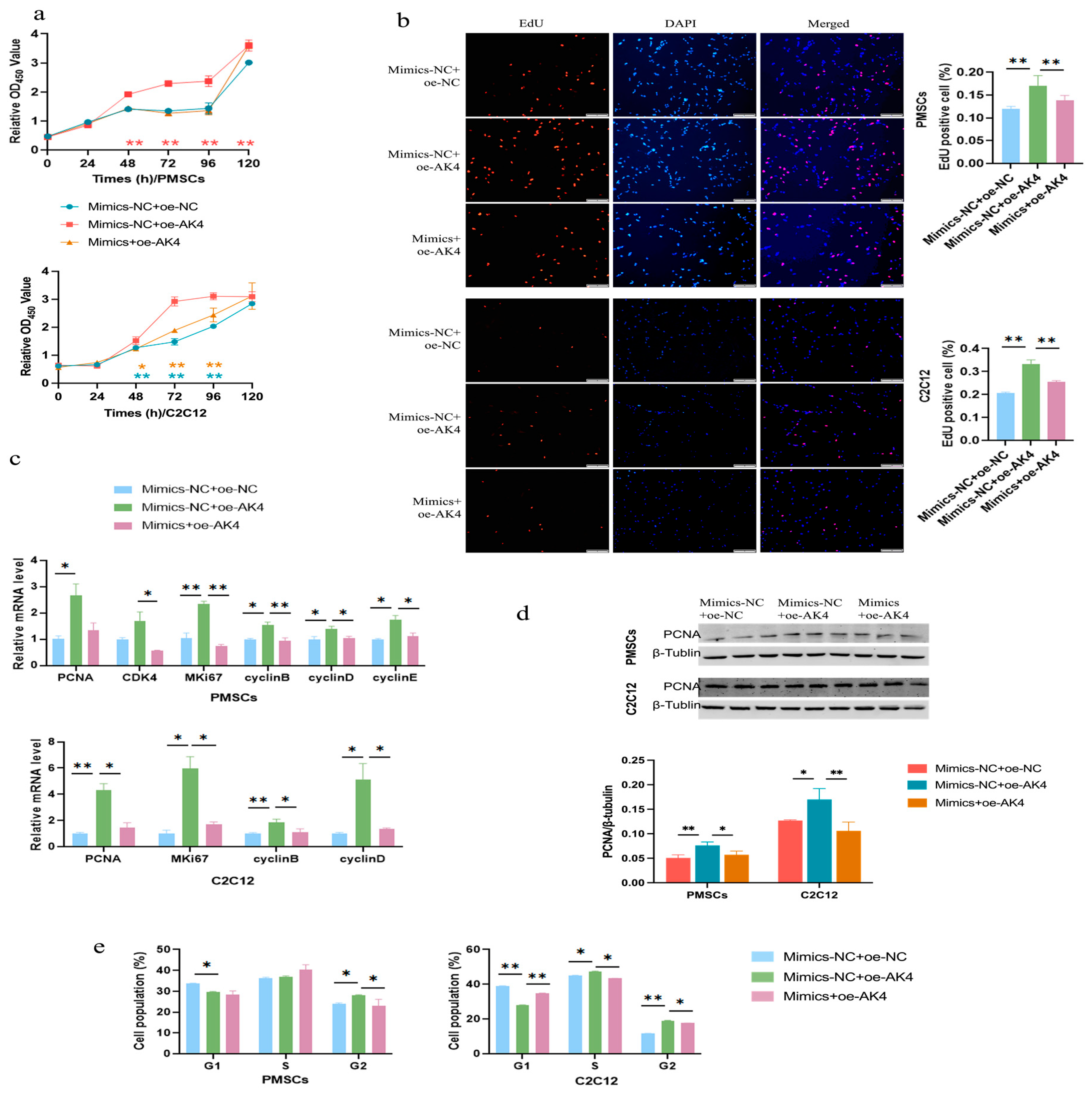Cells 14 01416 g008 Cells 14 01416 g008