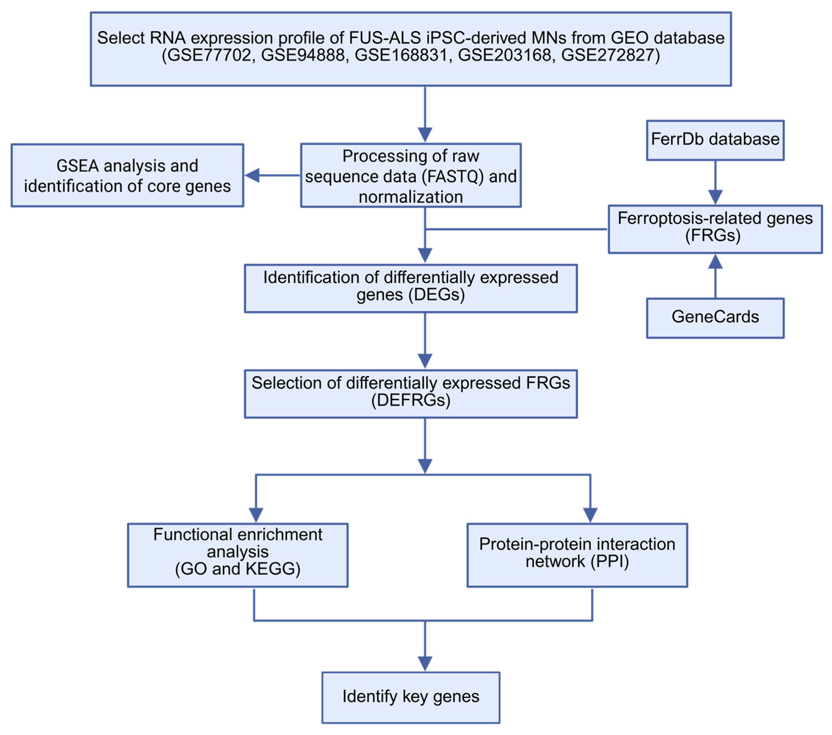 Cells 14 01417 g001 Cells 14 01417 g001