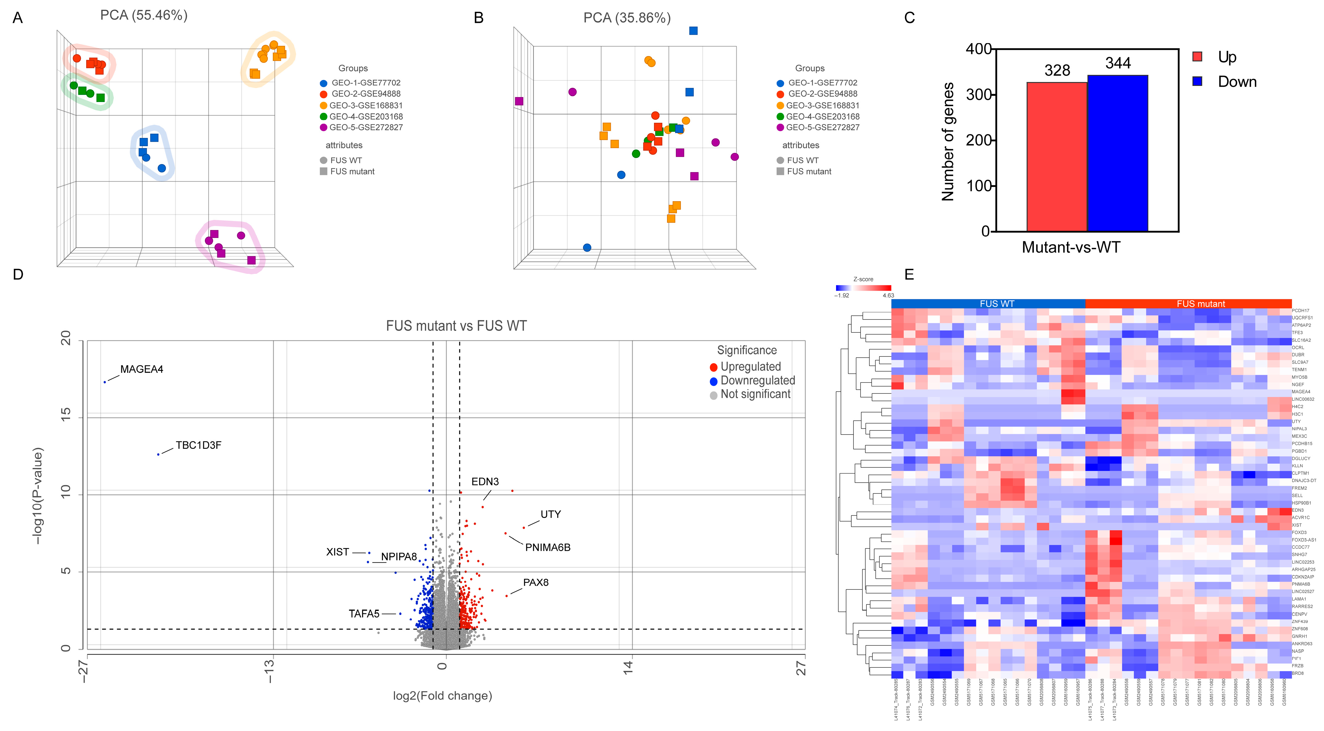 Cells 14 01417 g002 Cells 14 01417 g002