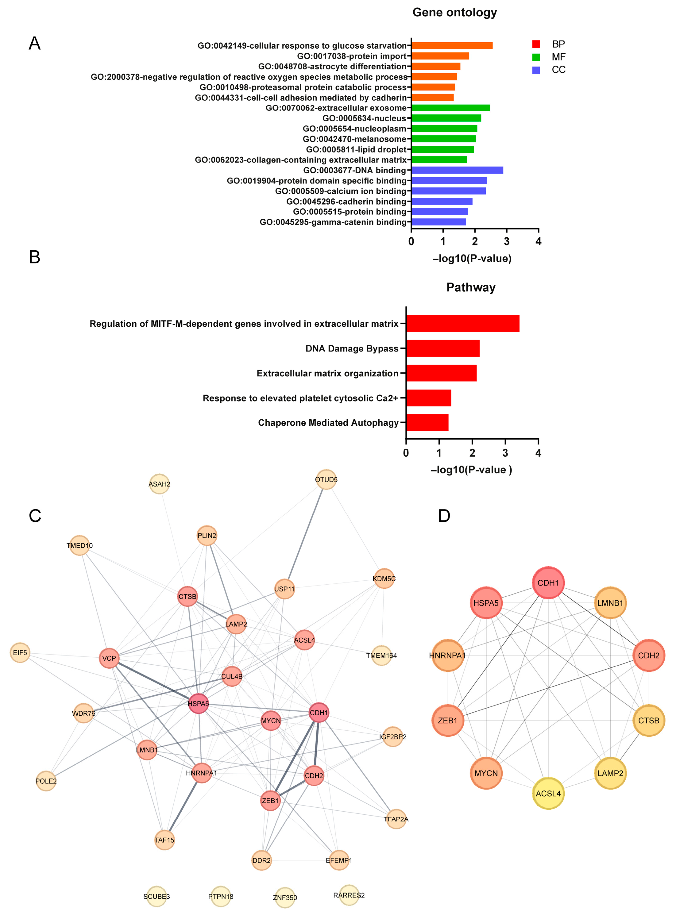 Cells 14 01417 g005 Cells 14 01417 g005
