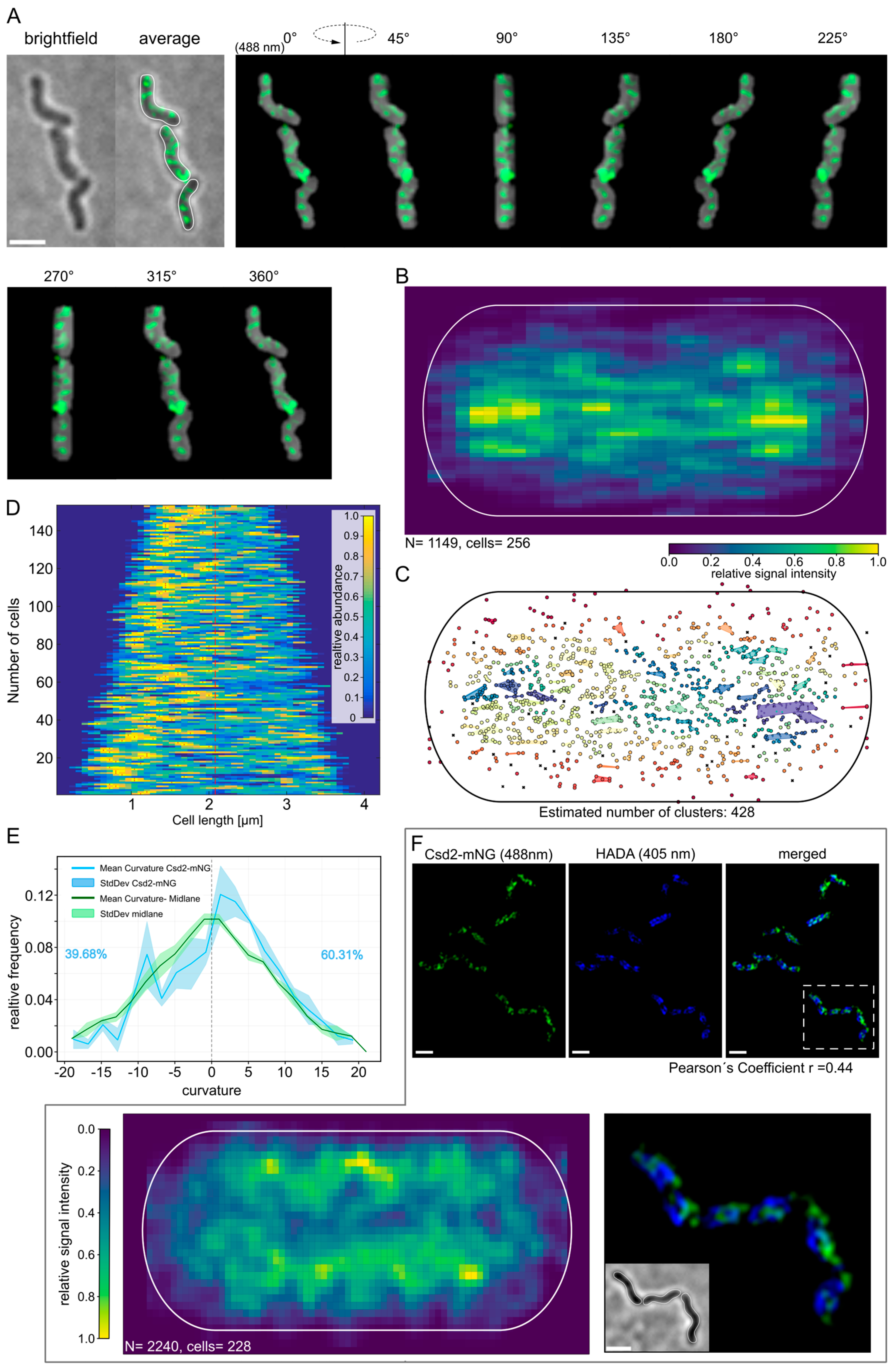 Cells 14 01420 g002 Cells 14 01420 g002