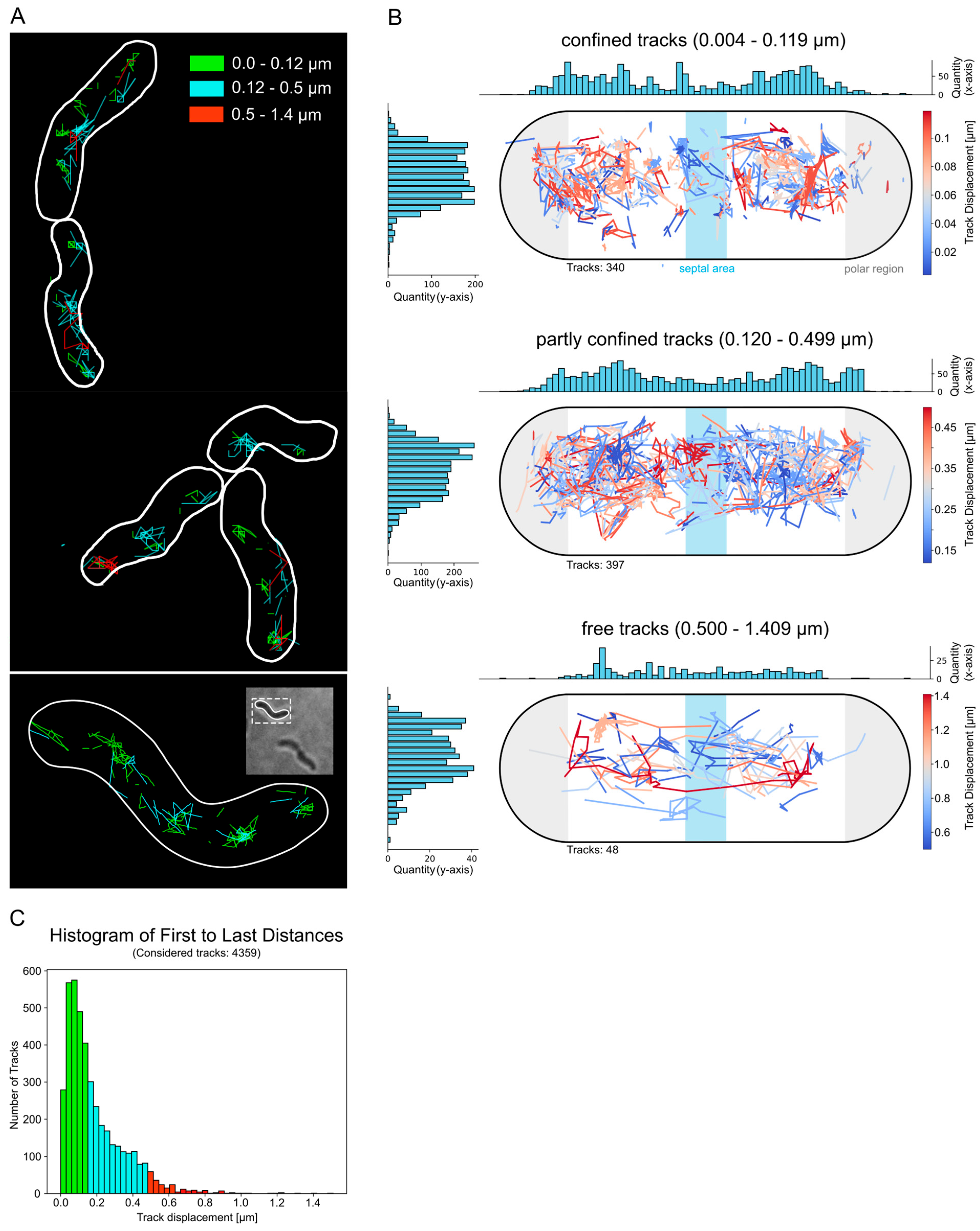 Cells 14 01420 g003 Cells 14 01420 g003