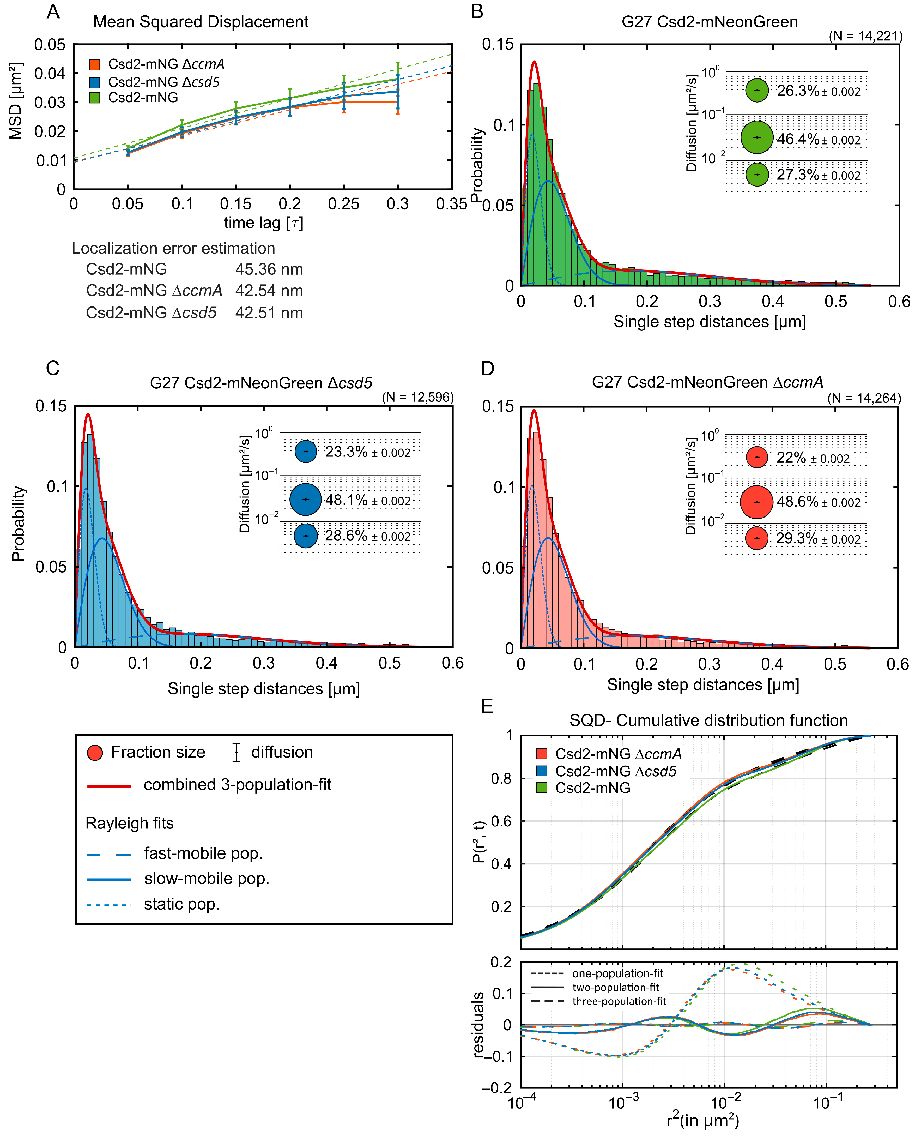 Cells 14 01420 g006 Cells 14 01420 g006