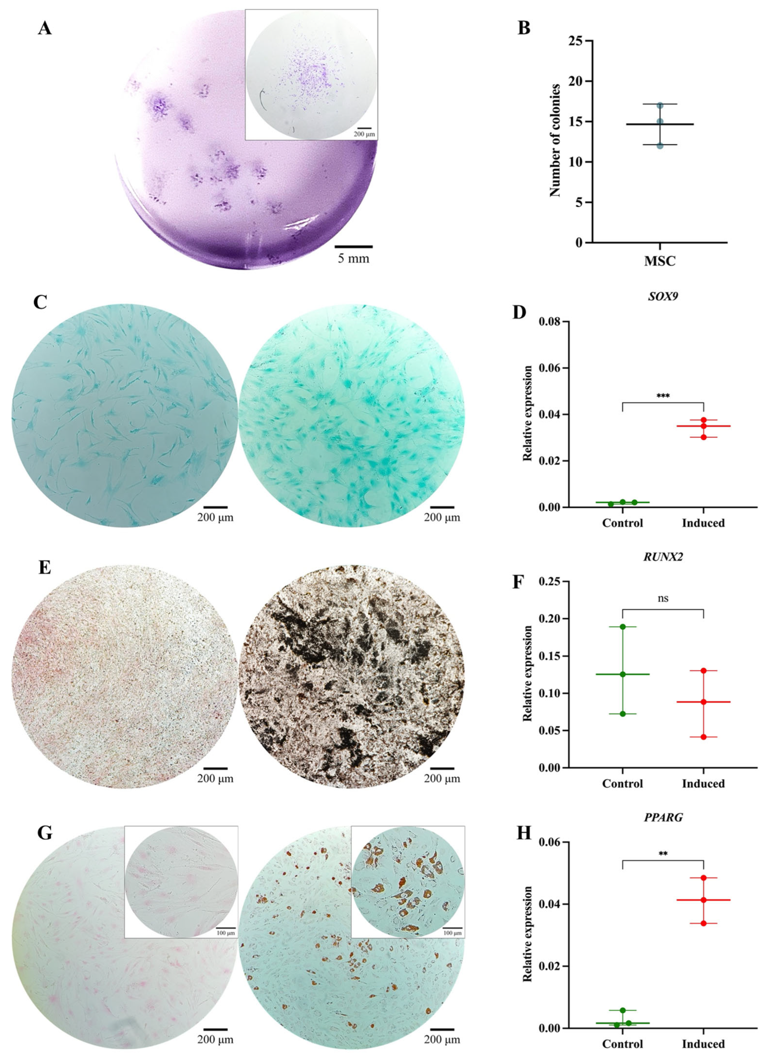 Cells 14 01423 g004 Cells 14 01423 g004