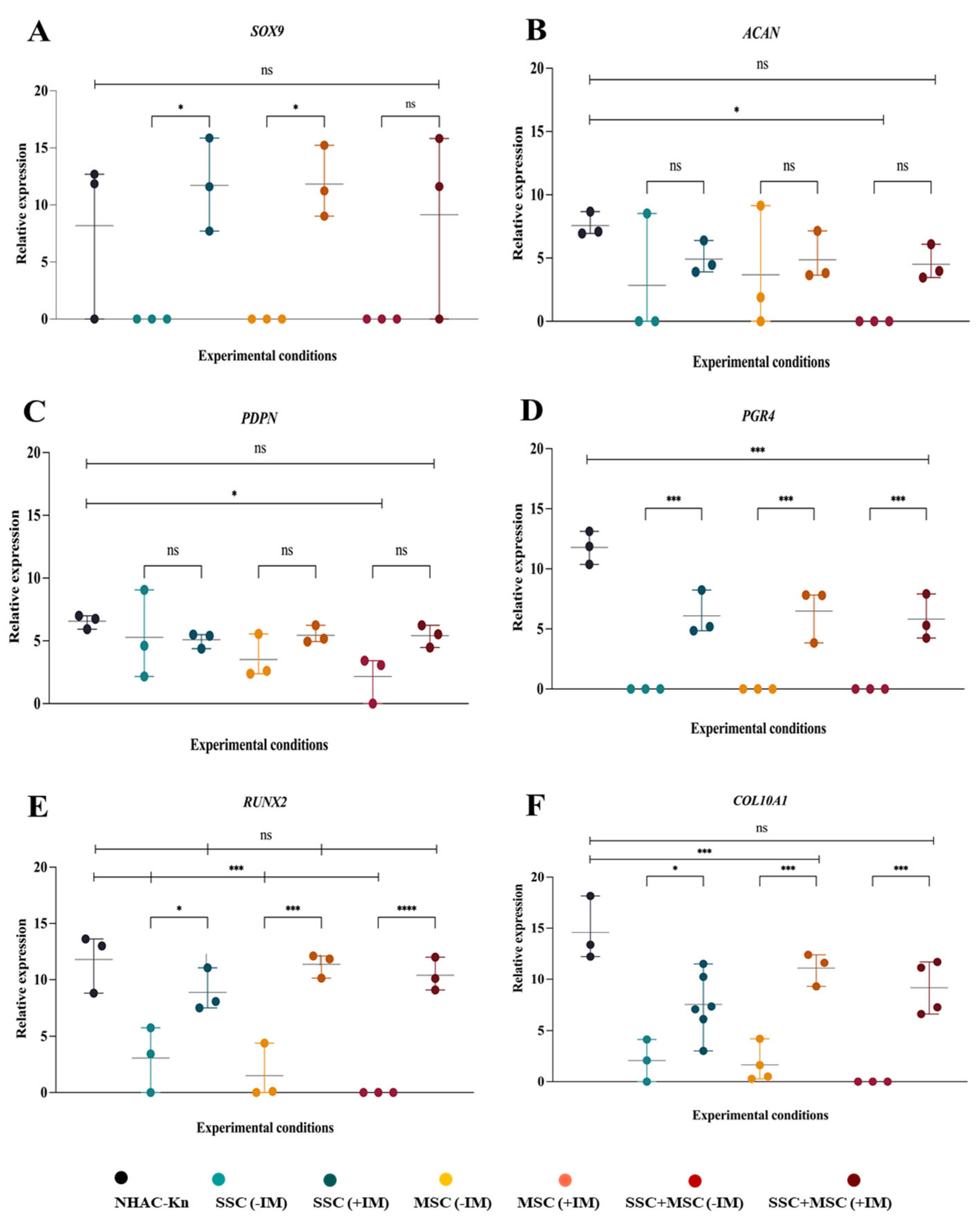Cells 14 01423 g011 Cells 14 01423 g011