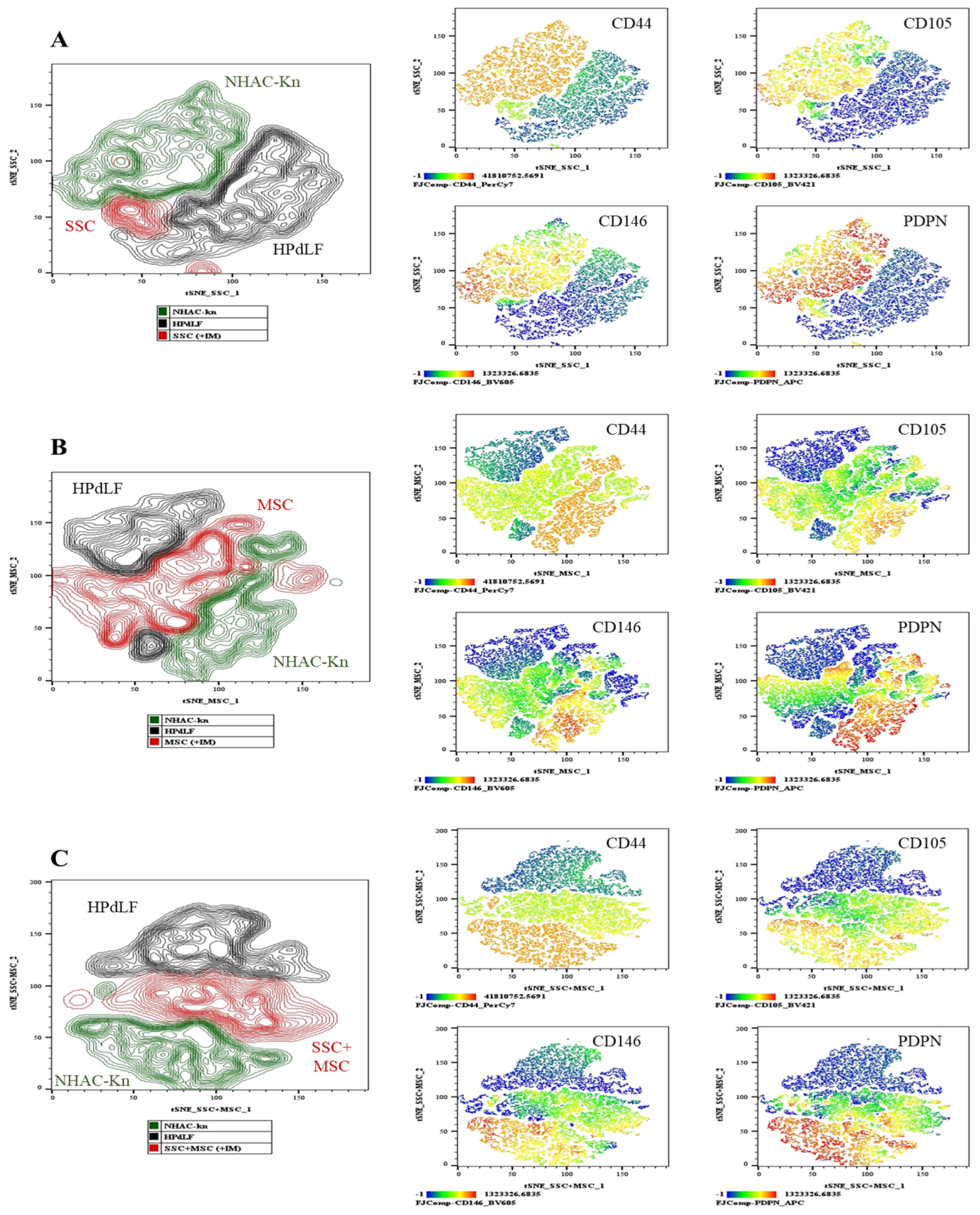 Cells 14 01423 g012 Cells 14 01423 g012