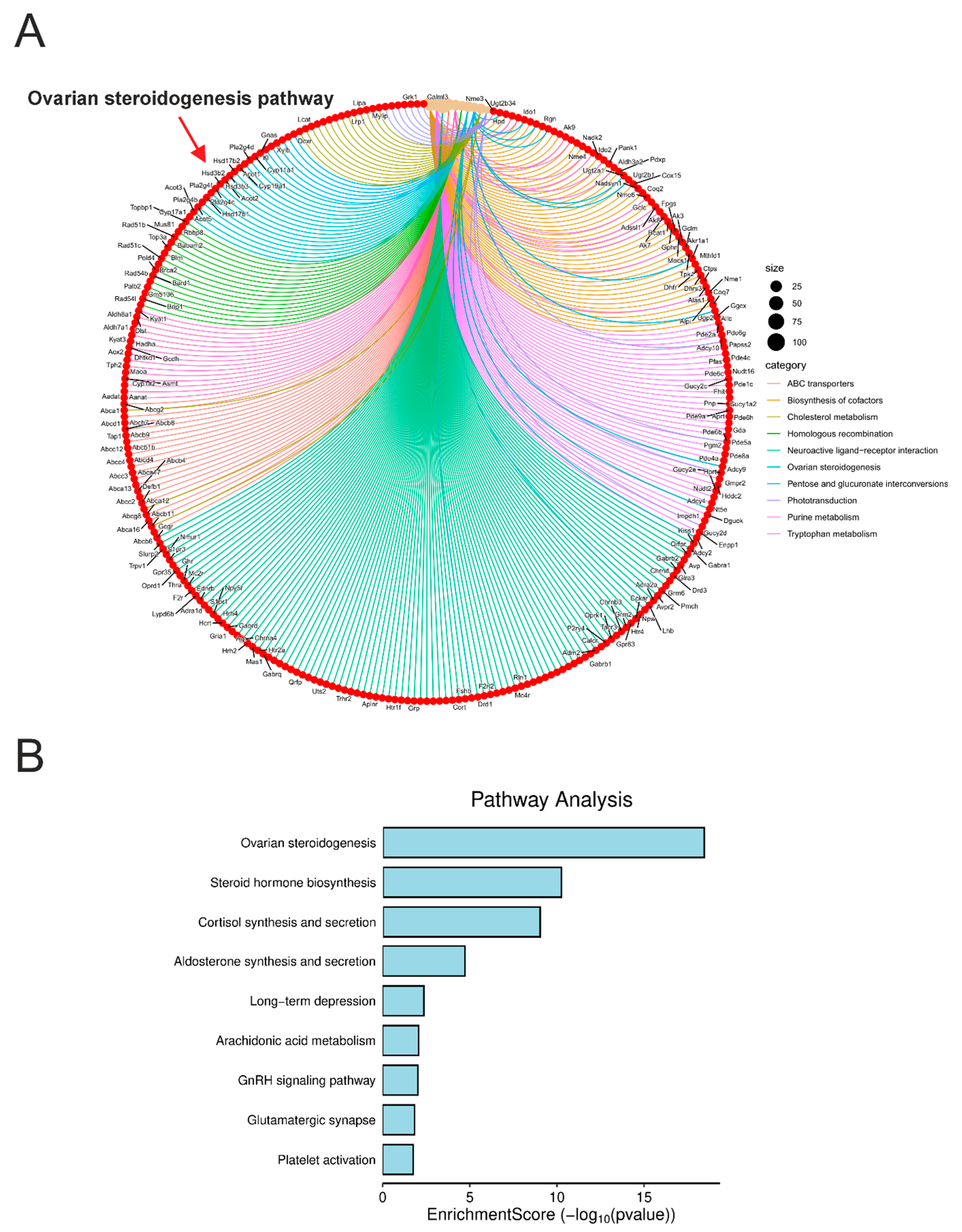 Cells 14 01431 g005 Cells 14 01431 g005