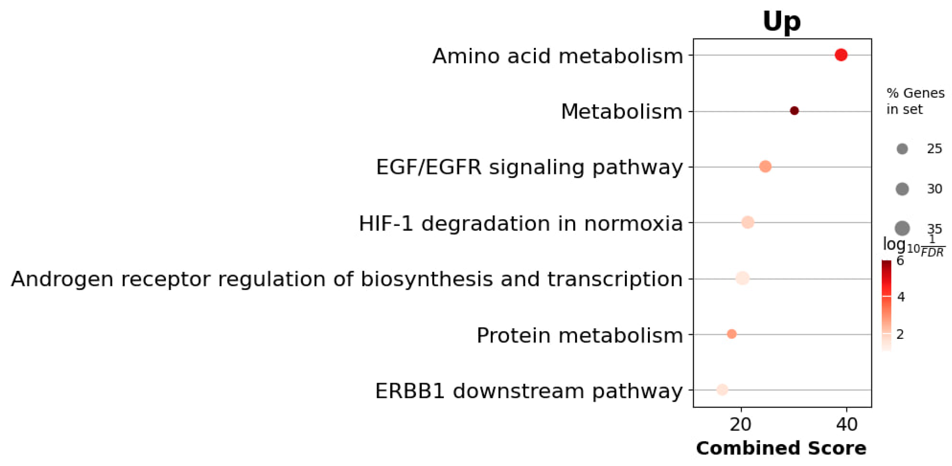 Cells 14 01431 g006 Cells 14 01431 g006