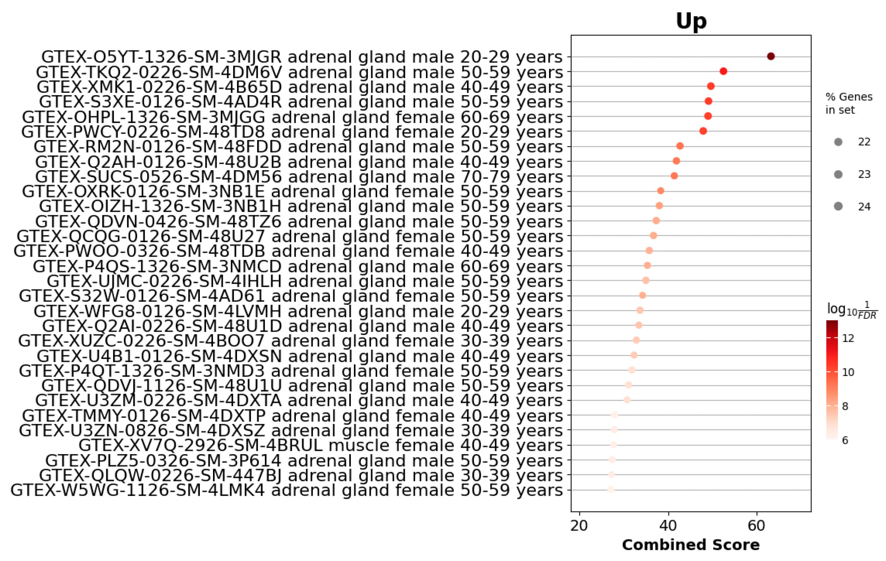 Cells 14 01431 g007 Cells 14 01431 g007