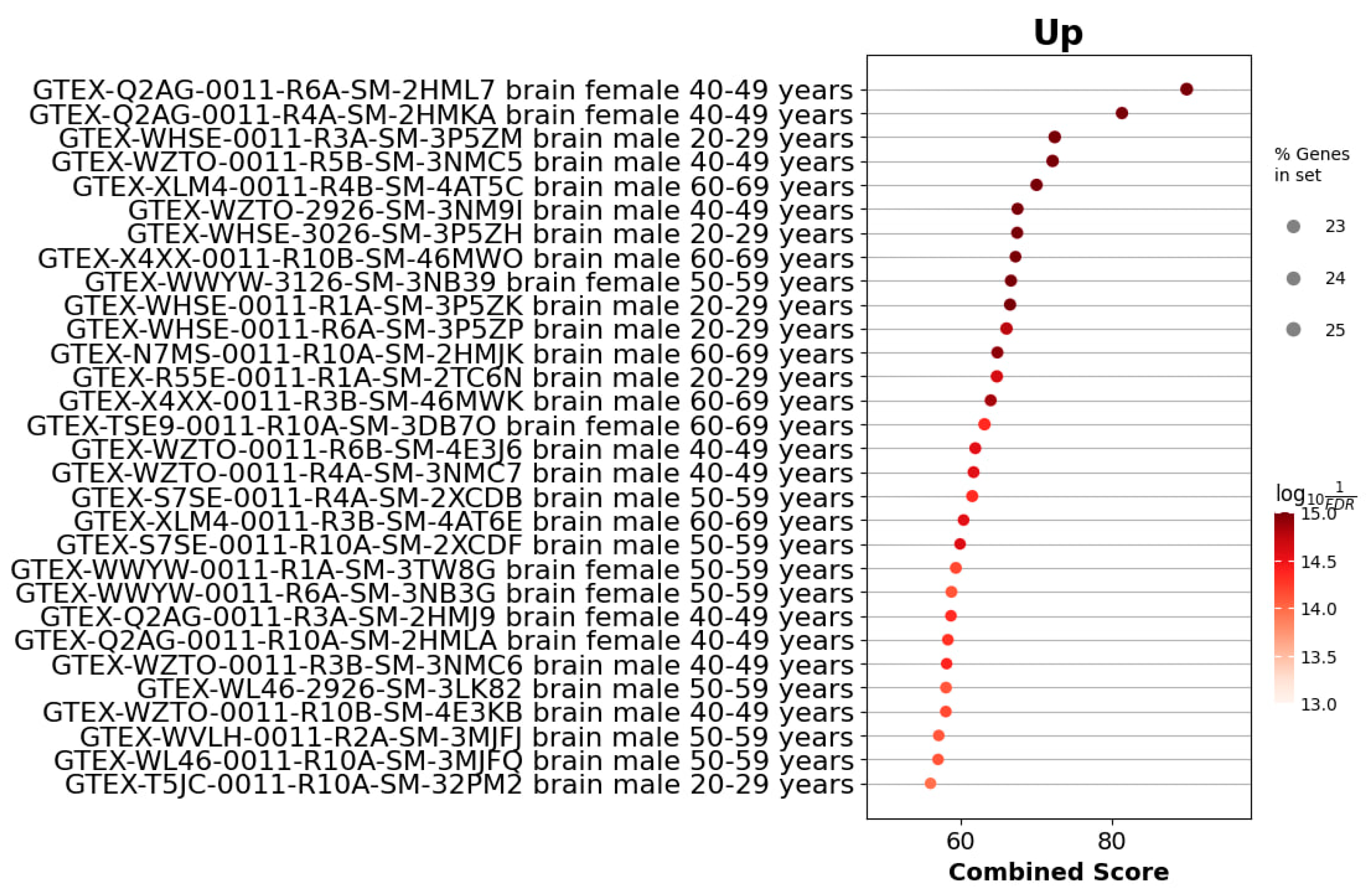 Cells 14 01431 g008 Cells 14 01431 g008