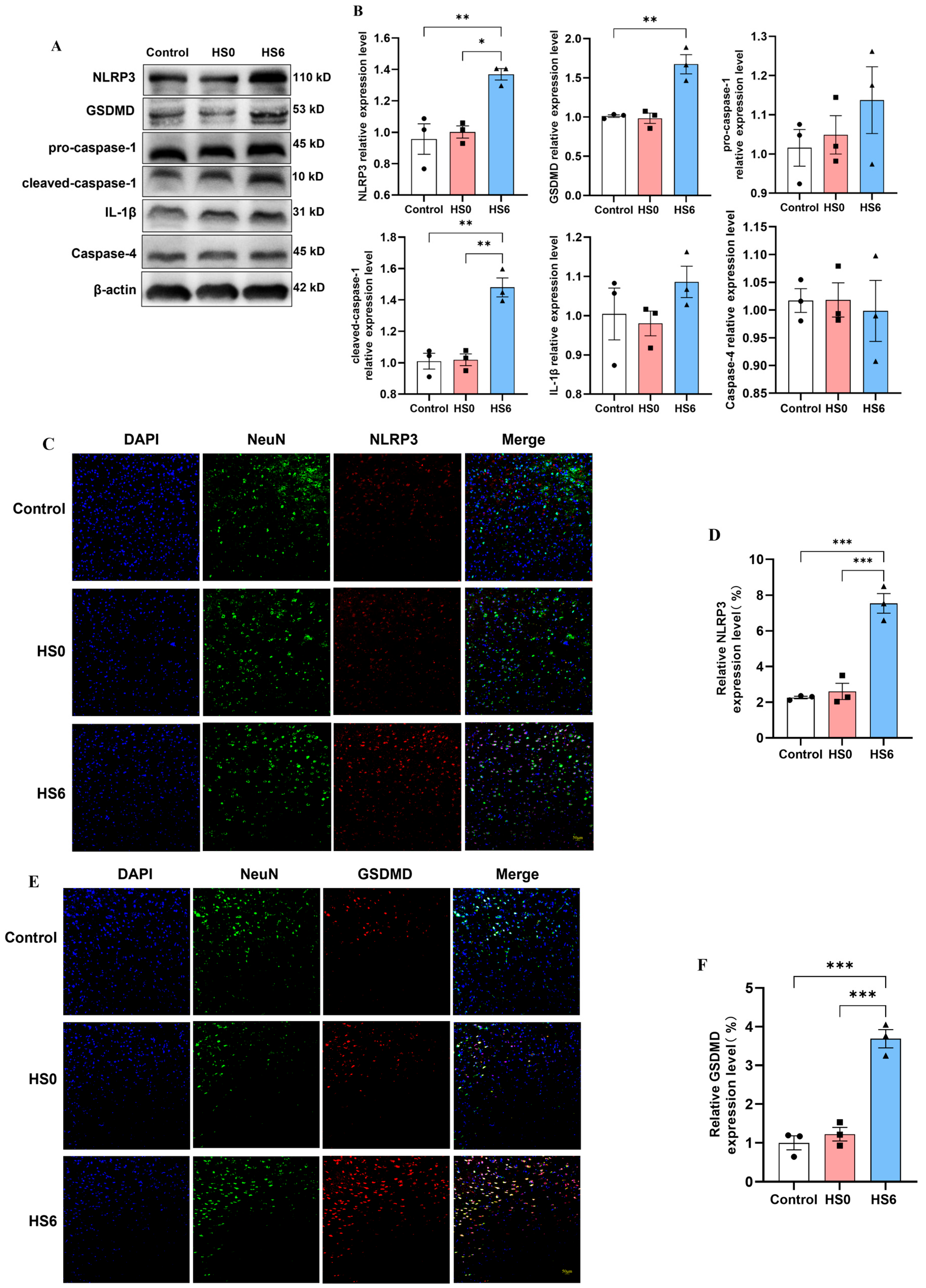 Cells 14 01437 g002 Cells 14 01437 g002