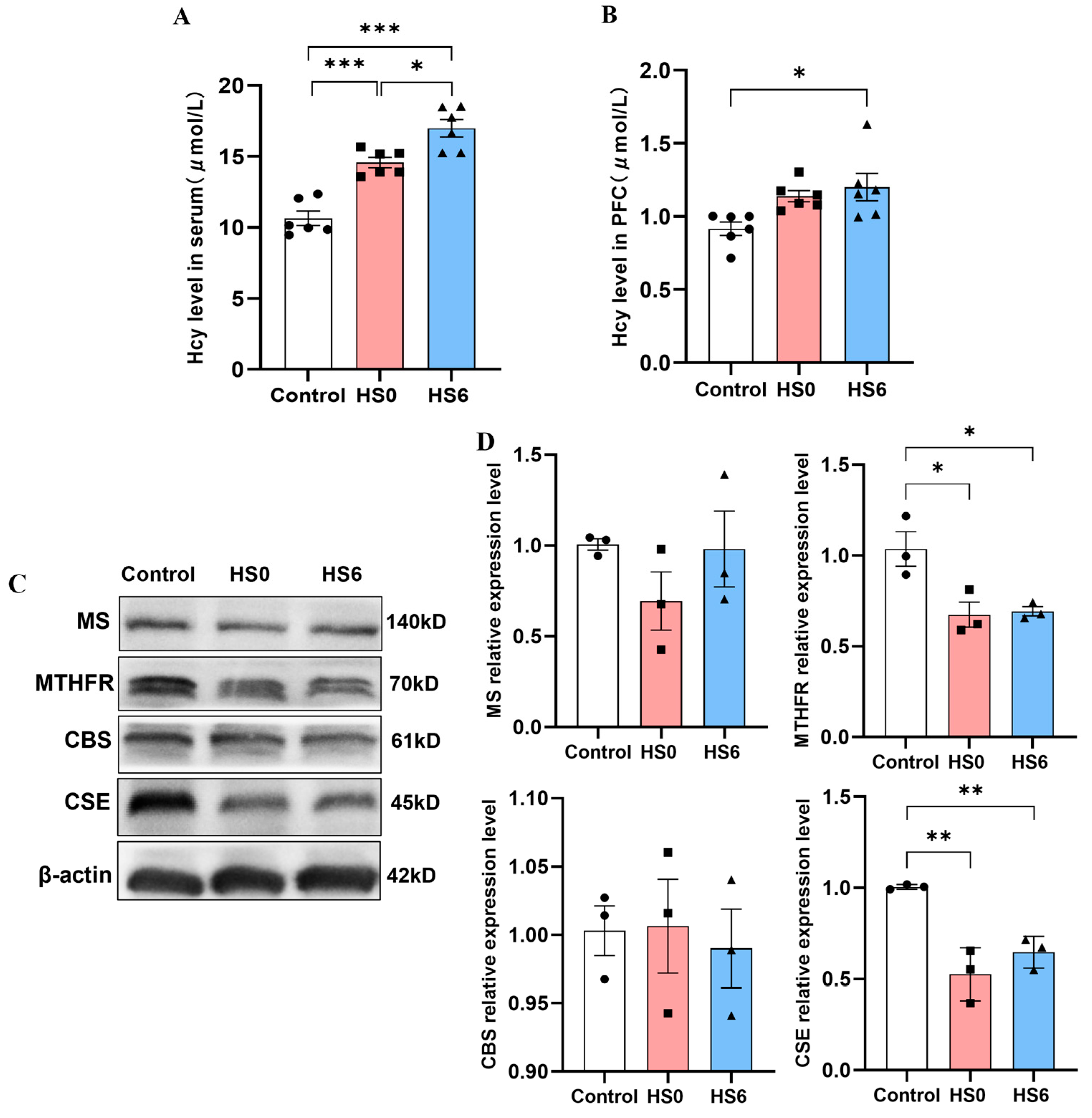 Cells 14 01437 g003 Cells 14 01437 g003