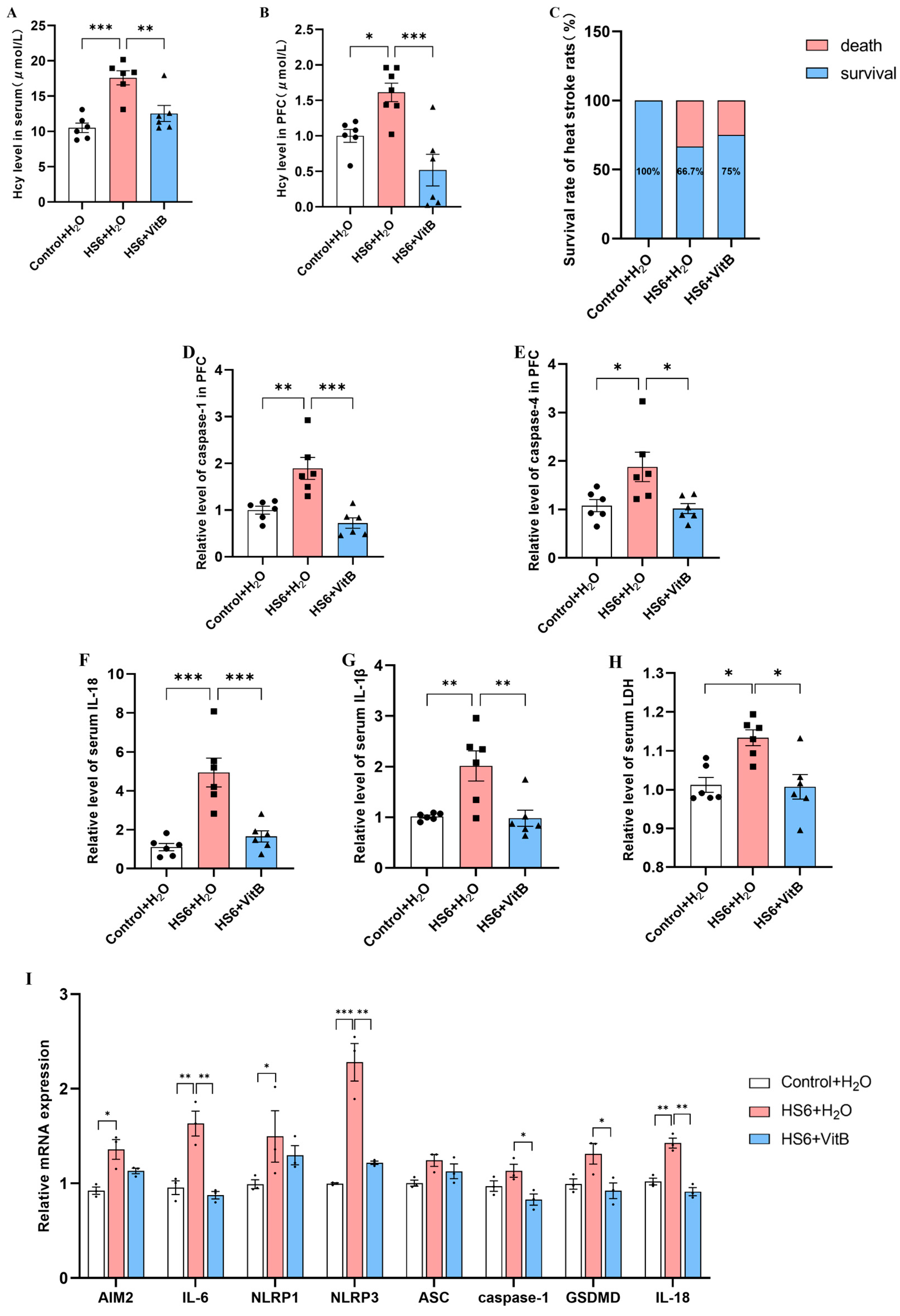 Cells 14 01437 g004 Cells 14 01437 g004