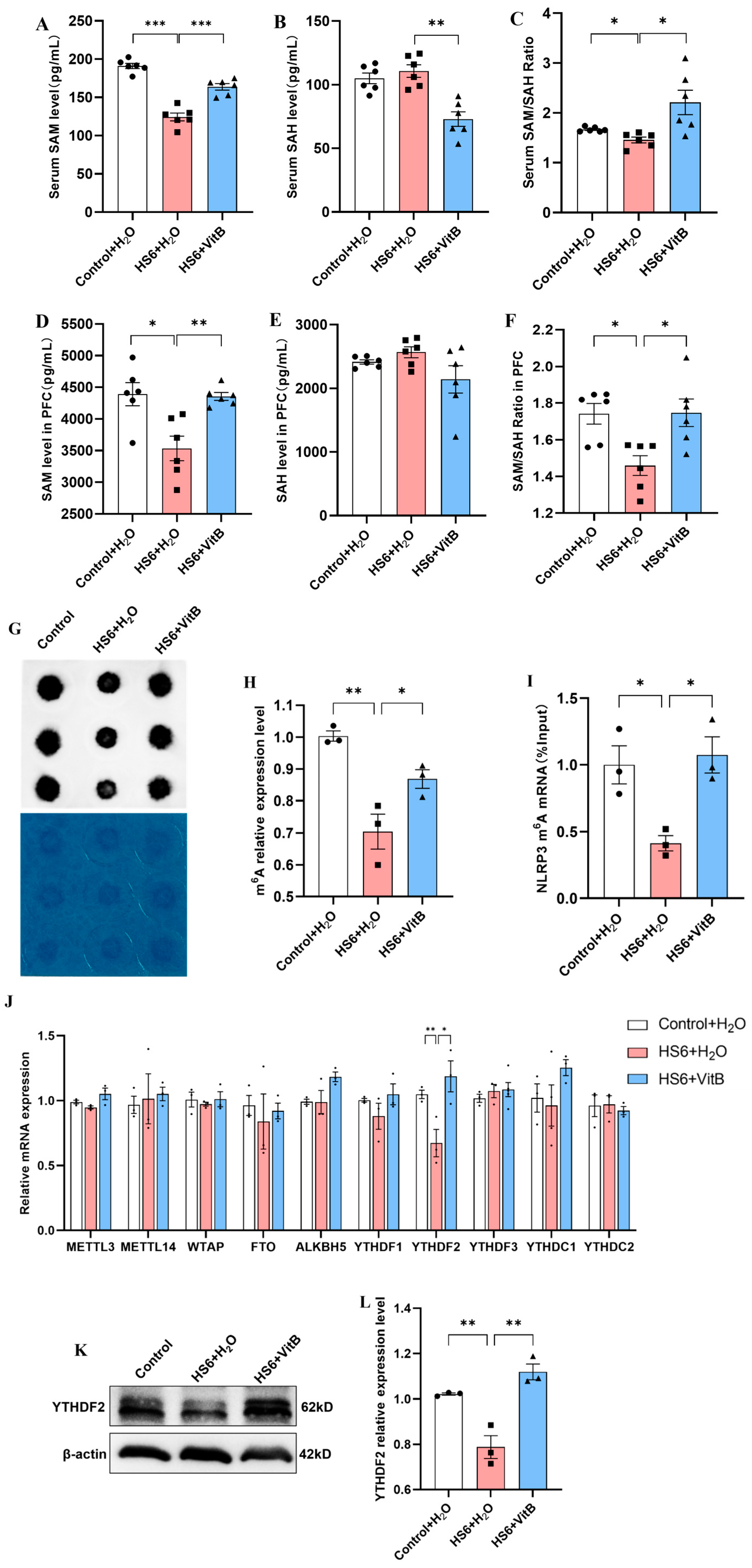 Cells 14 01437 g006 Cells 14 01437 g006