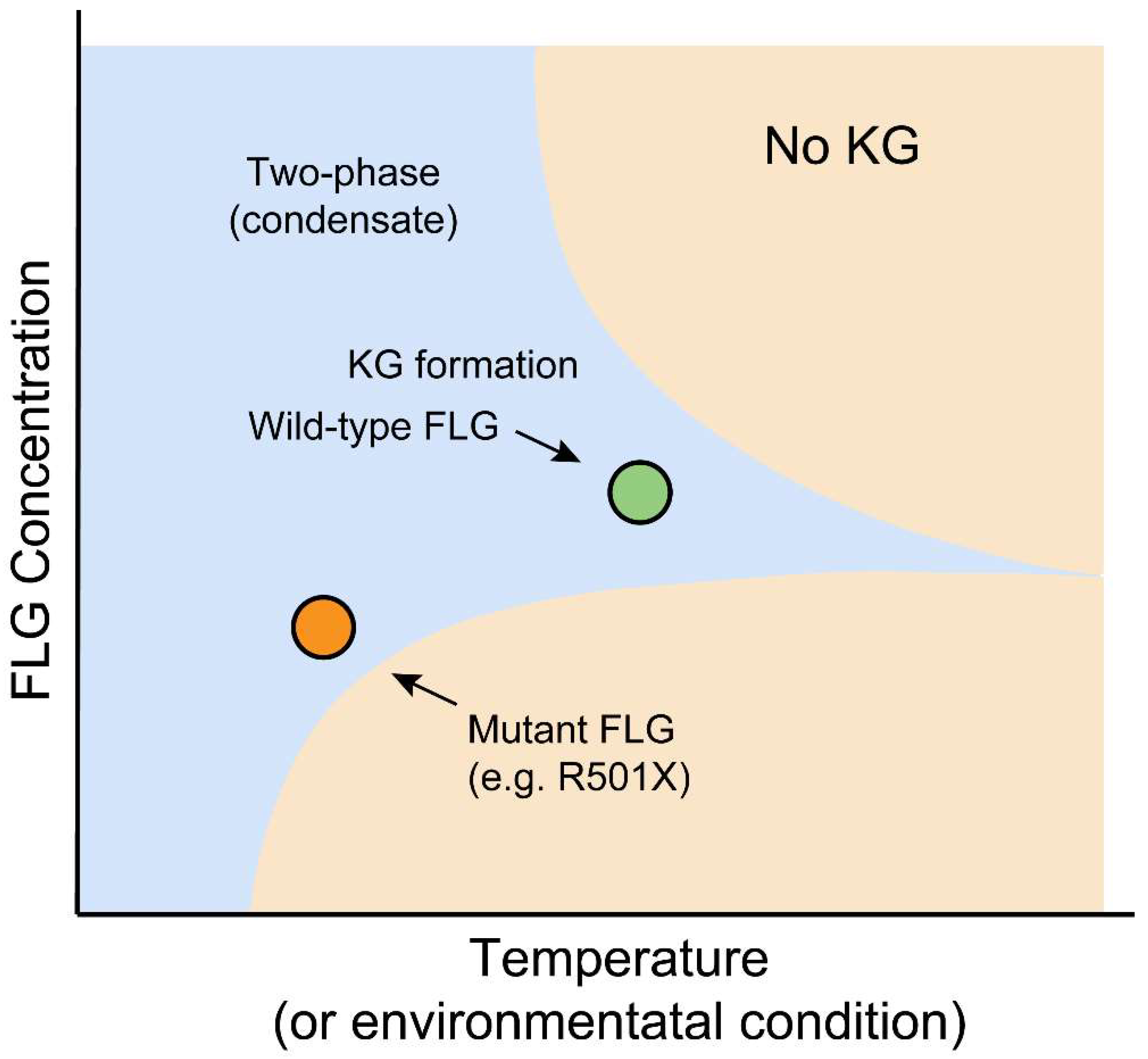 Cells 14 01438 g003 Cells 14 01438 g003