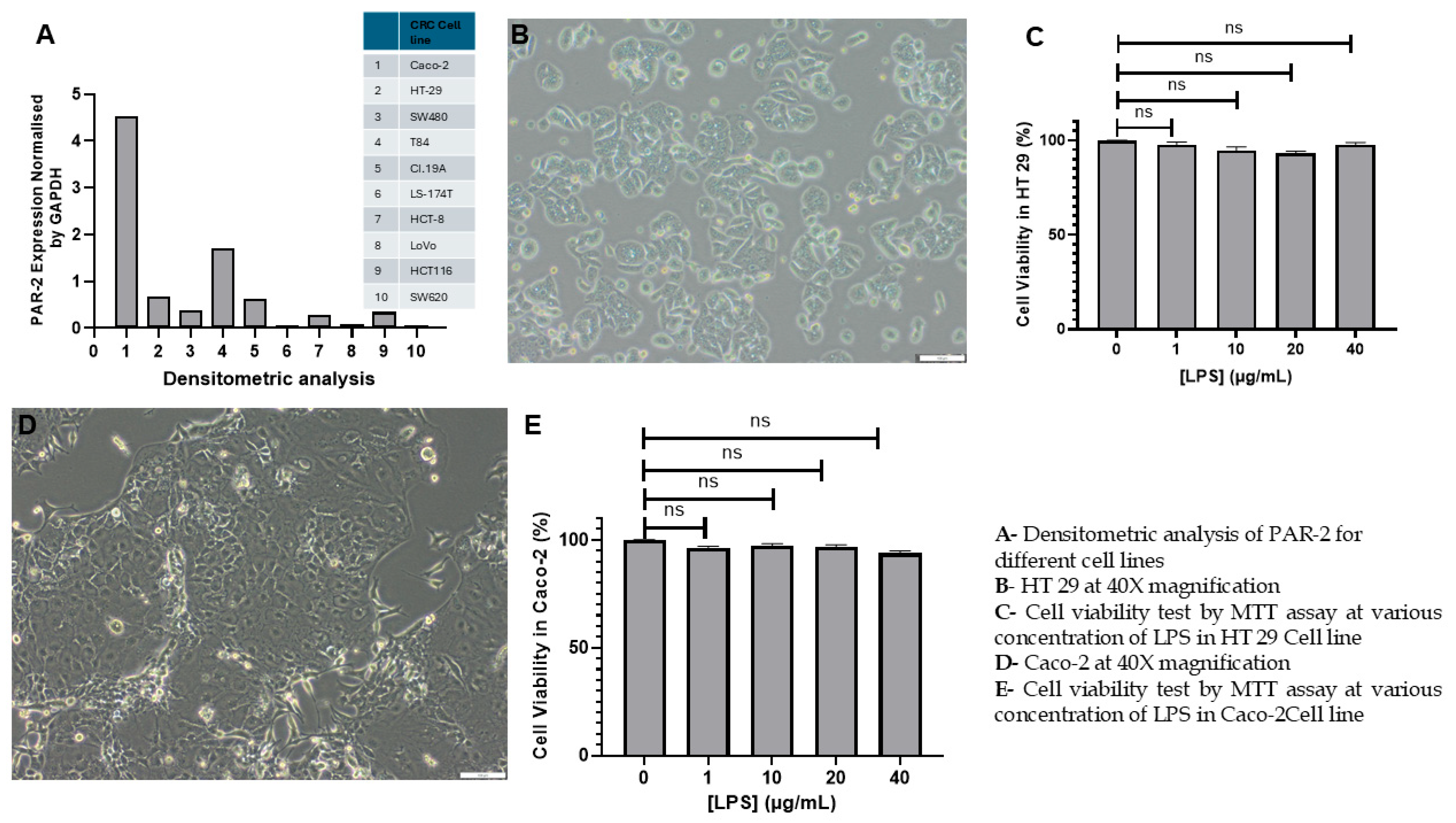 Cells 14 01451 g001 Cells 14 01451 g001