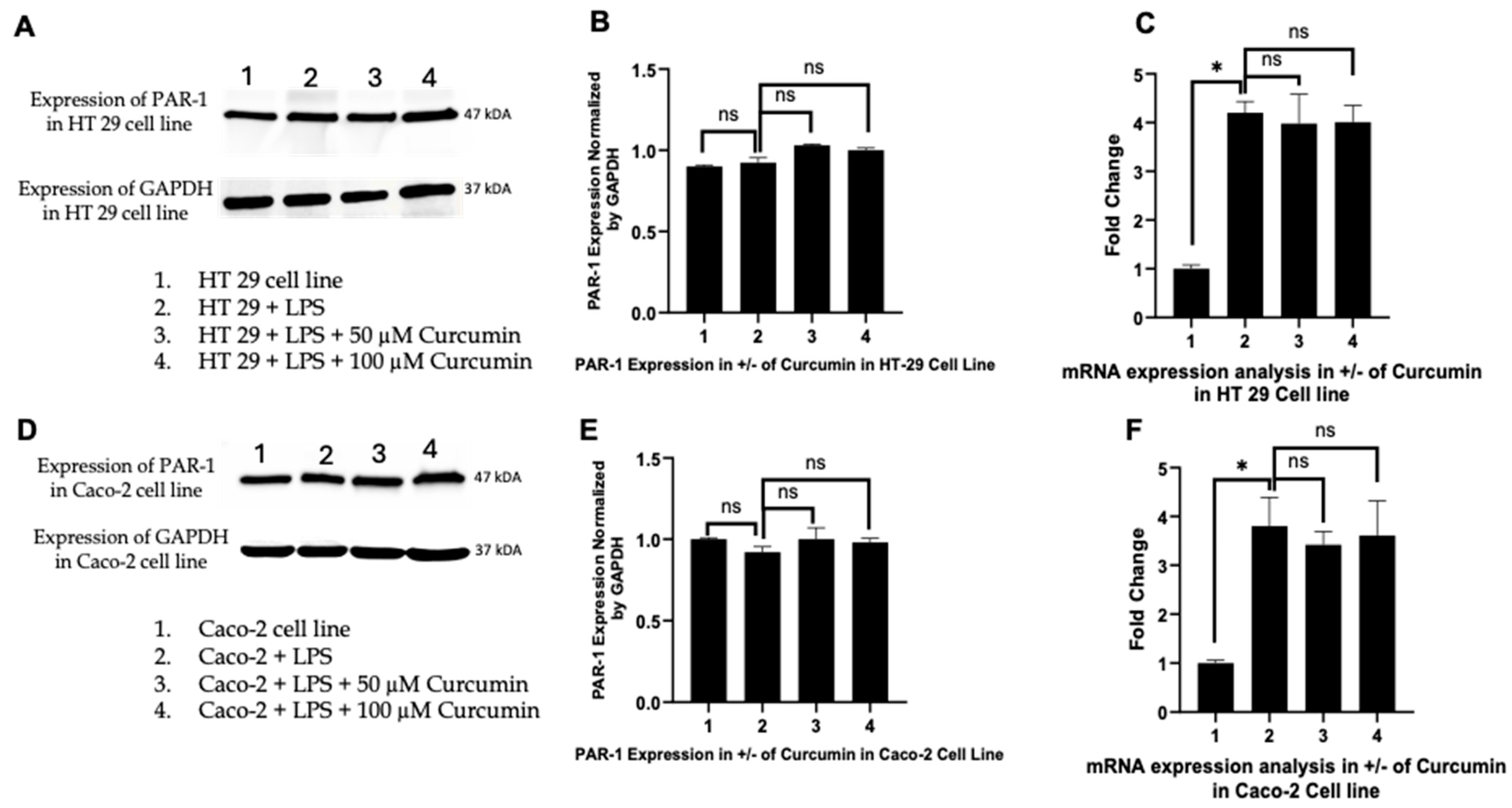 Cells 14 01451 g003 Cells 14 01451 g003