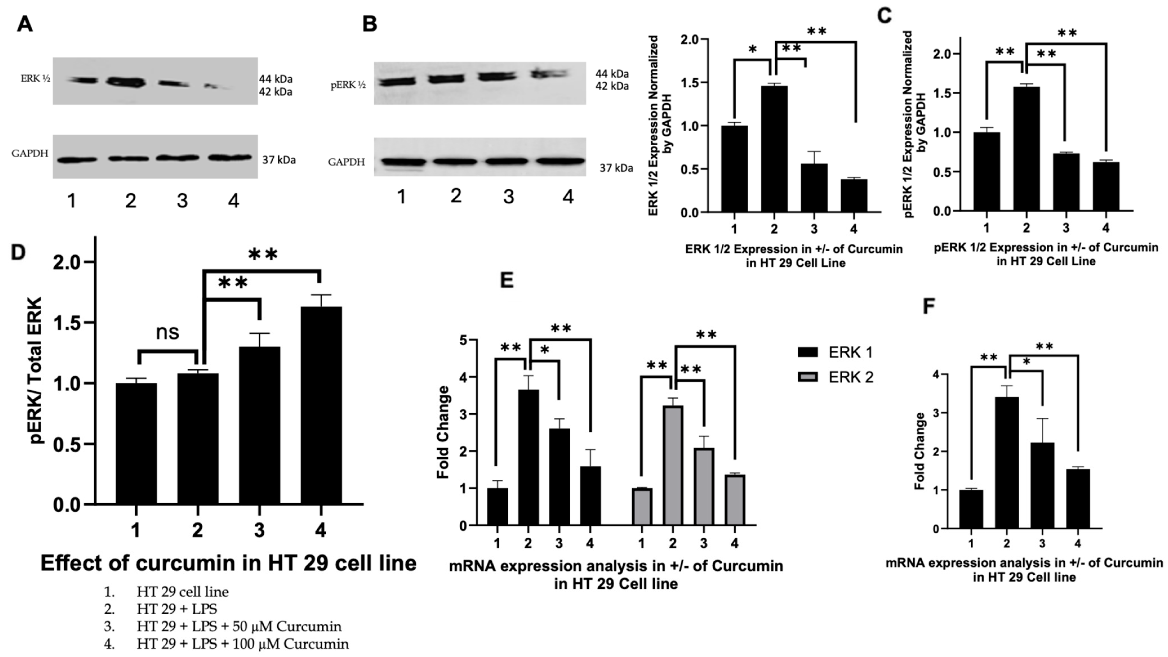 Cells 14 01451 g004 Cells 14 01451 g004