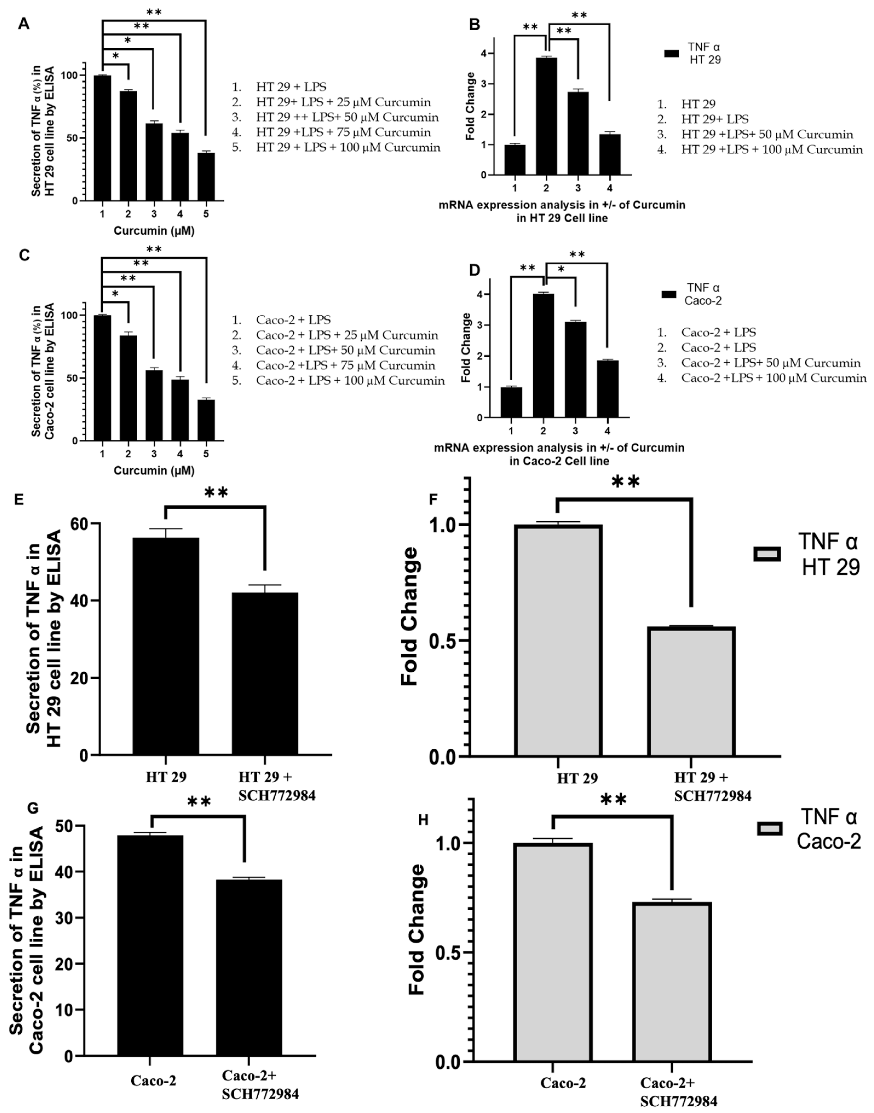 Cells 14 01451 g006 Cells 14 01451 g006
