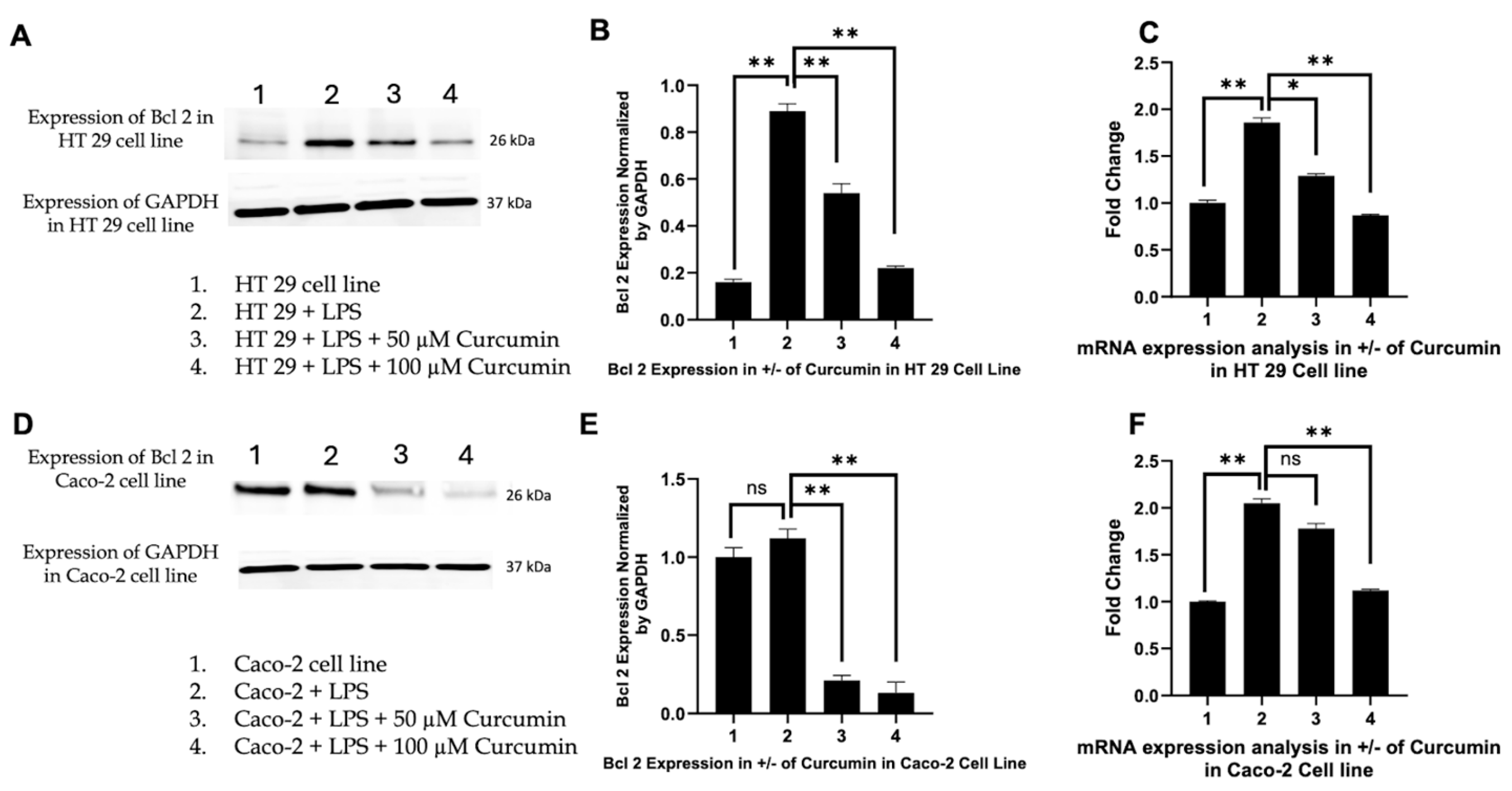 Cells 14 01451 g009 Cells 14 01451 g009