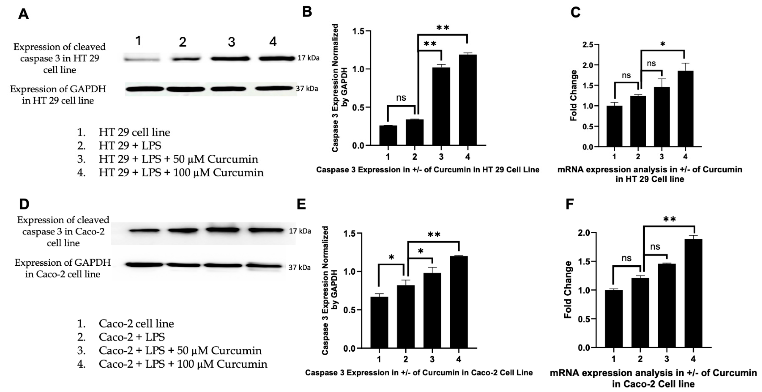 Cells 14 01451 g010 Cells 14 01451 g010