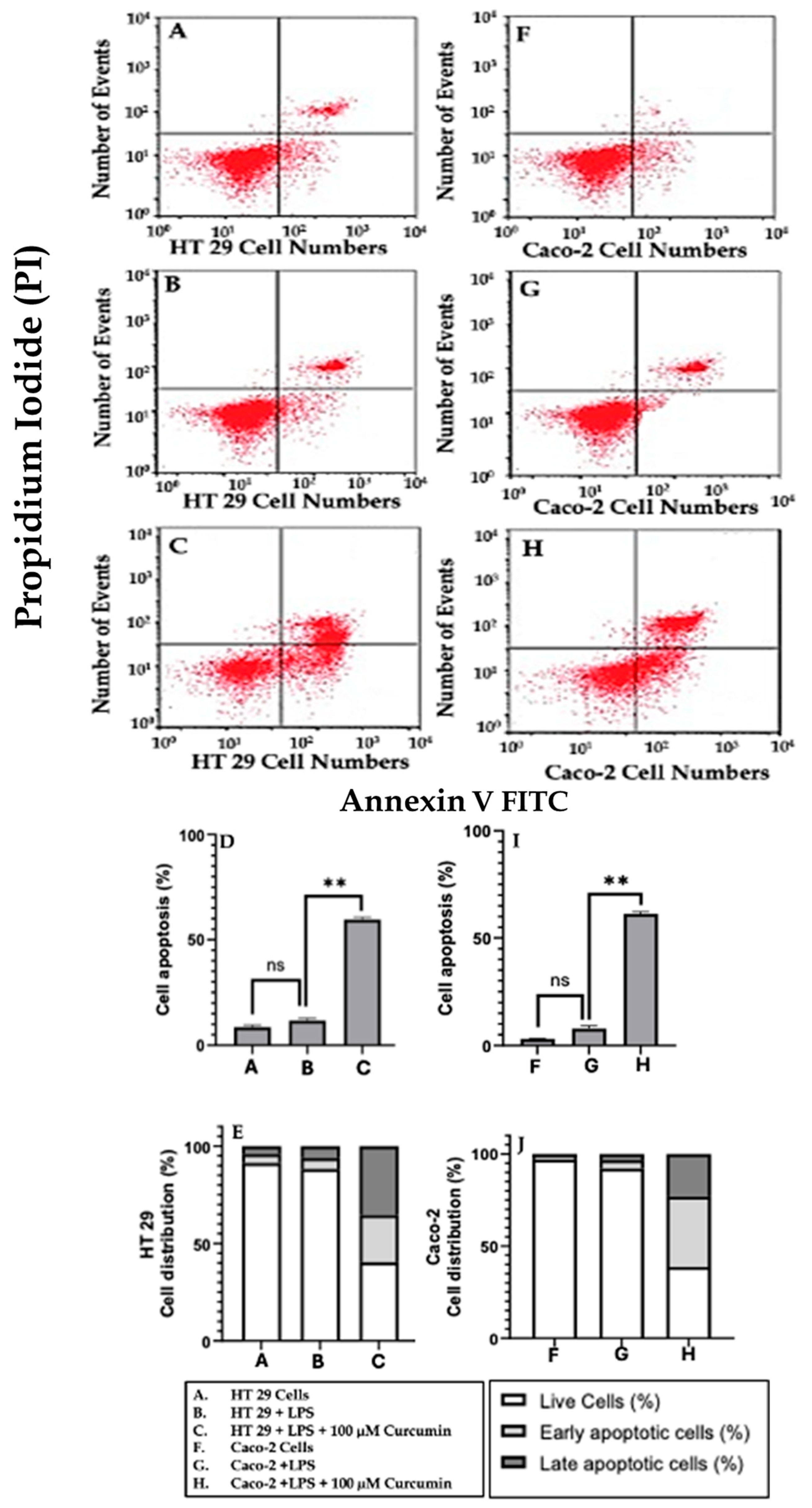 Cells 14 01451 g012 Cells 14 01451 g012