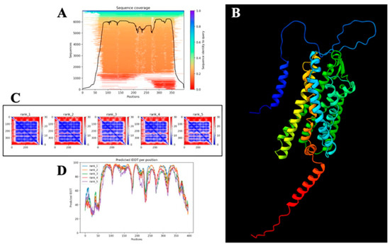 Curcumin Inhibits Protease Activated Receptor 2-Induced ERK