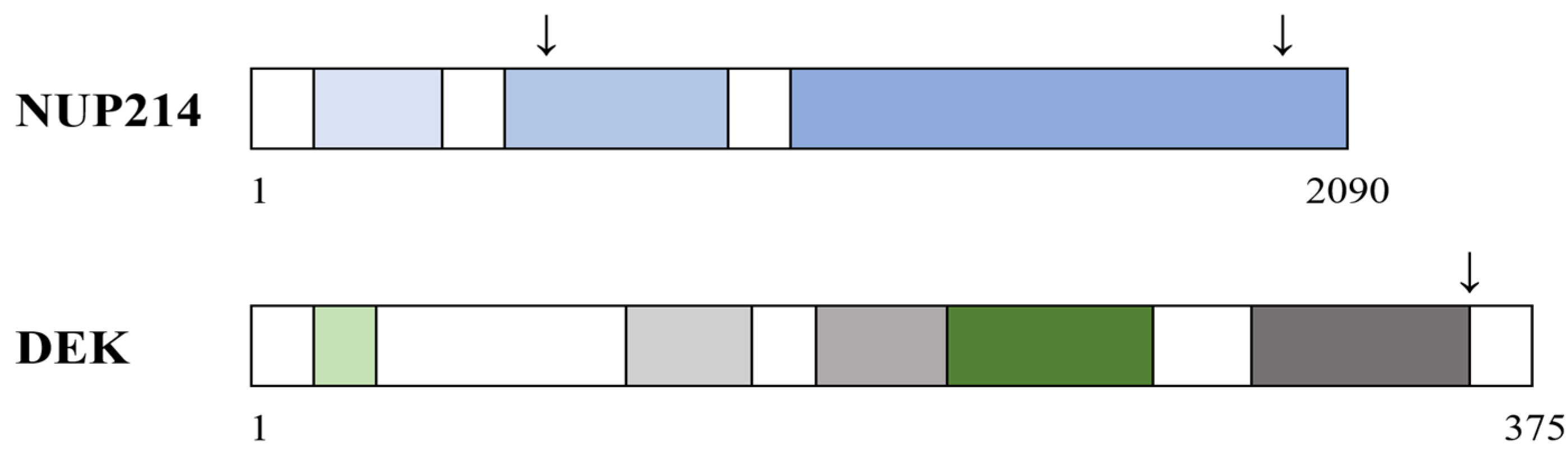 Cells 14 01461 g003 Cells 14 01461 g003