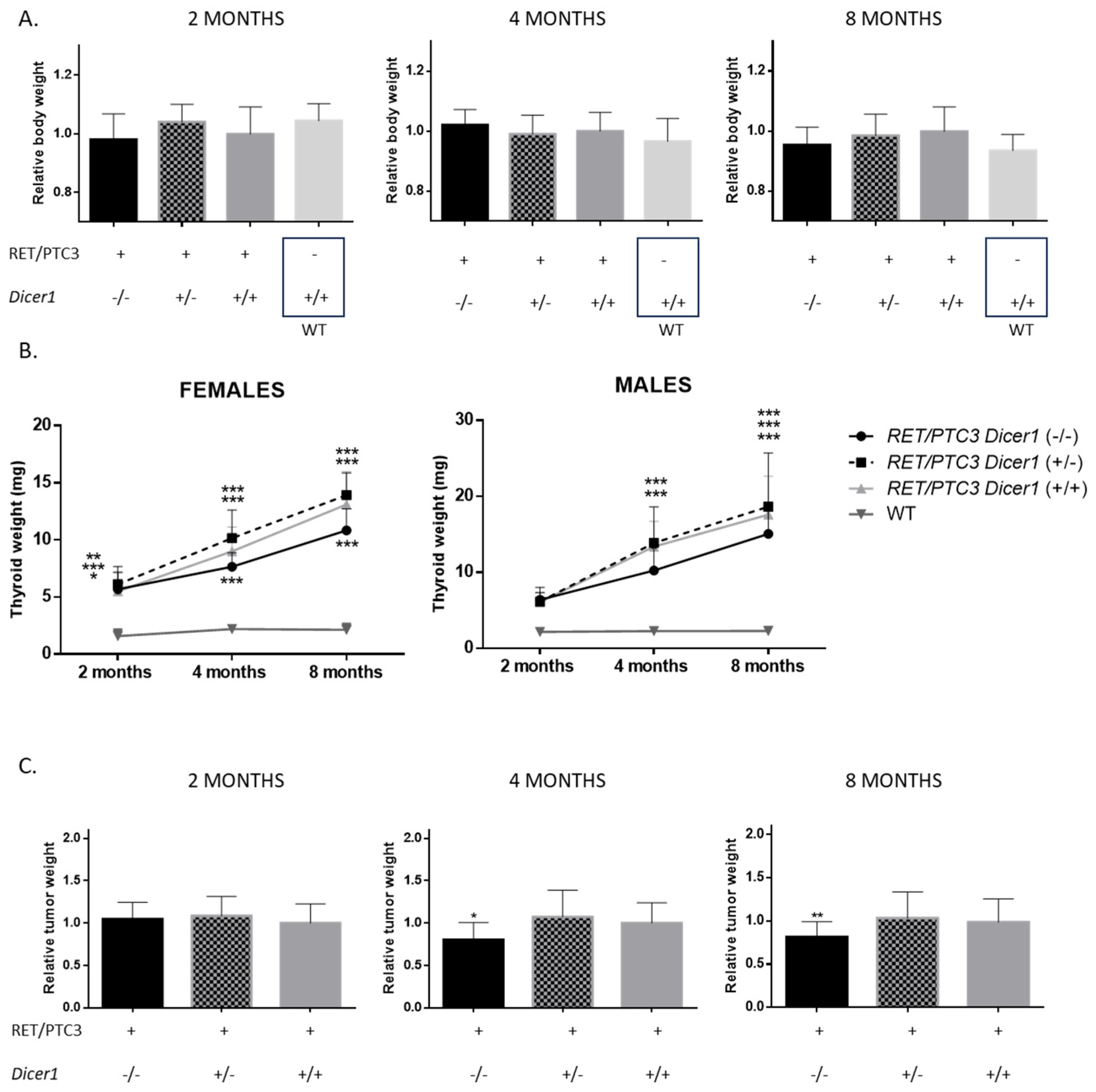 Cells 14 01465 g003 Cells 14 01465 g003