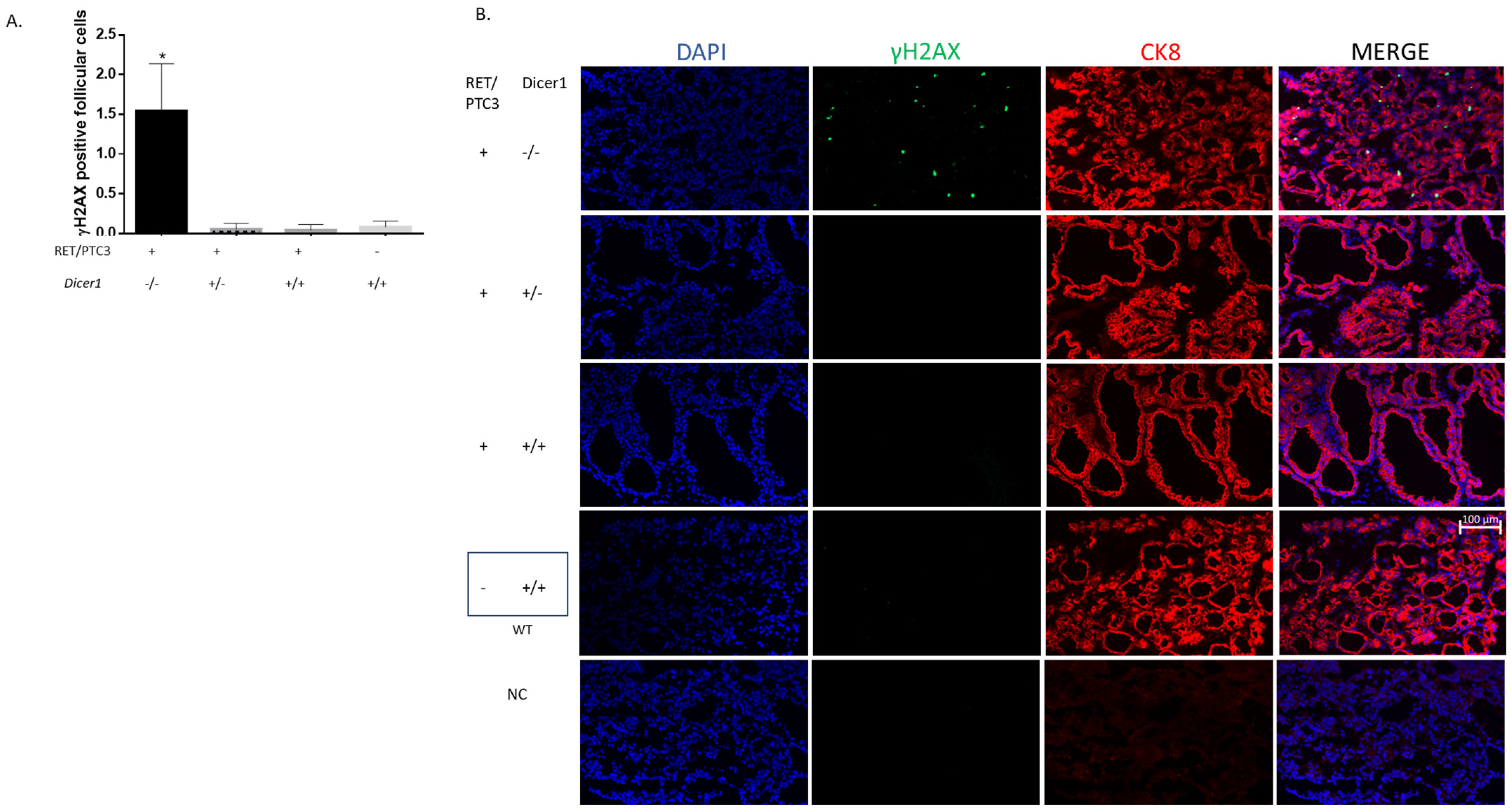 Cells 14 01465 g011 Cells 14 01465 g011