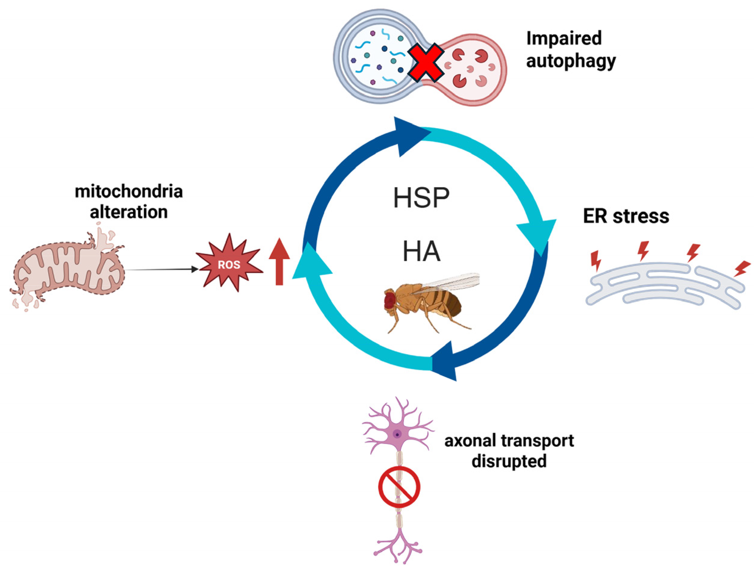 Cells 14 01466 g001 Cells 14 01466 g001