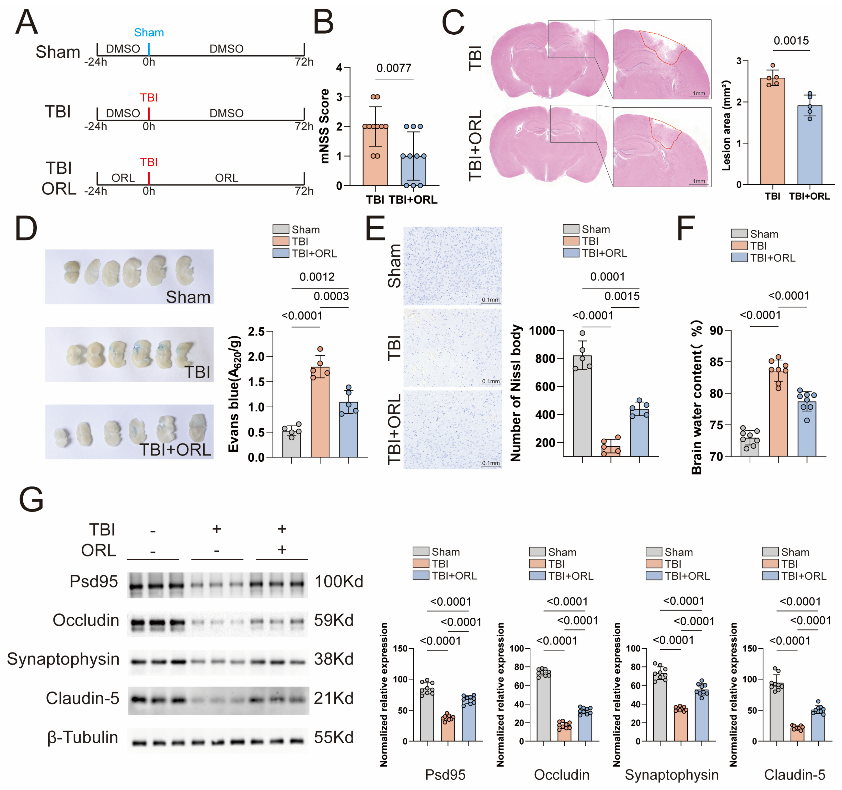 Cells 14 01469 g001 Cells 14 01469 g001